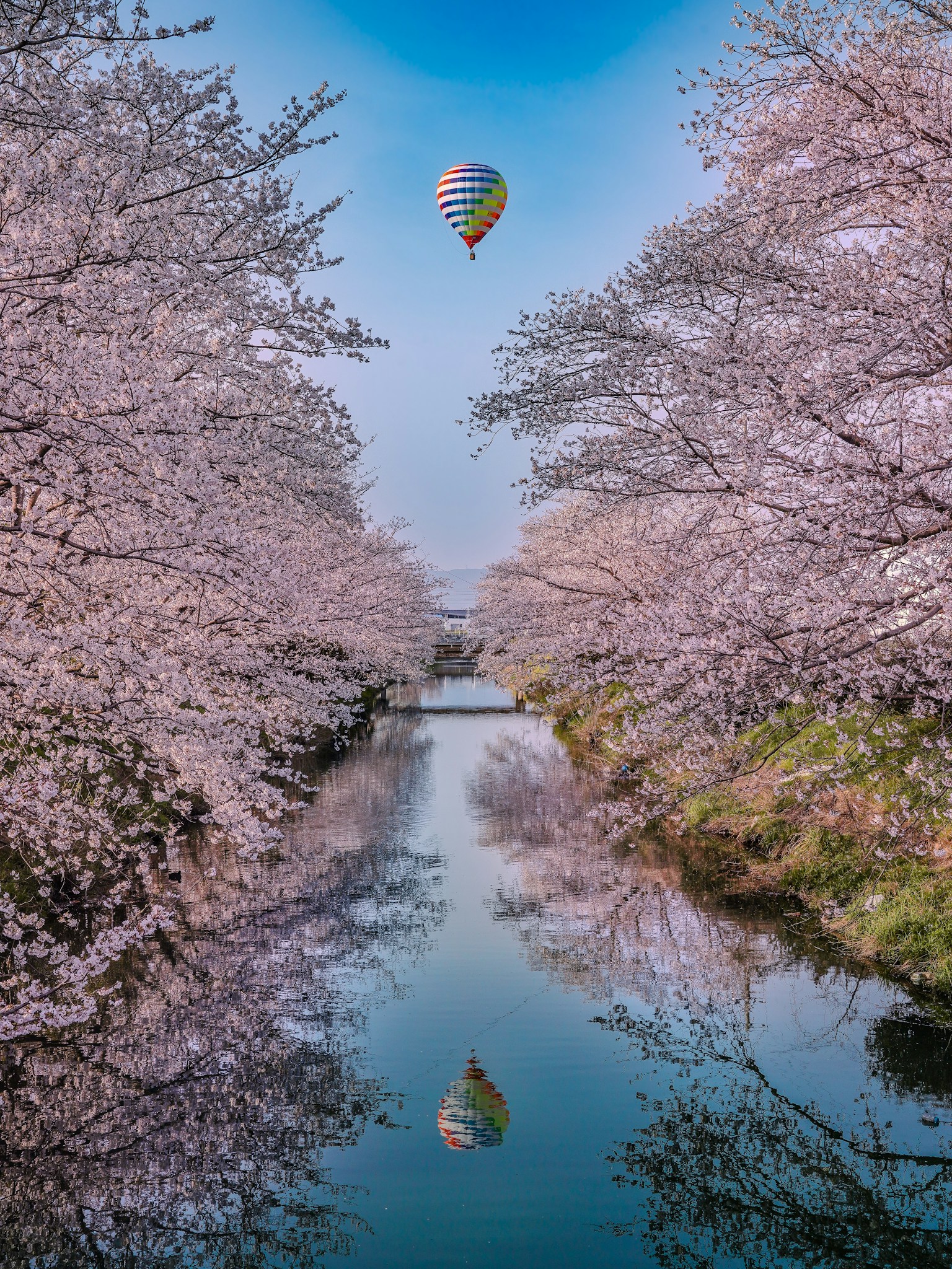 photo-rnSbrKmt82tNs1HiIRaq-image