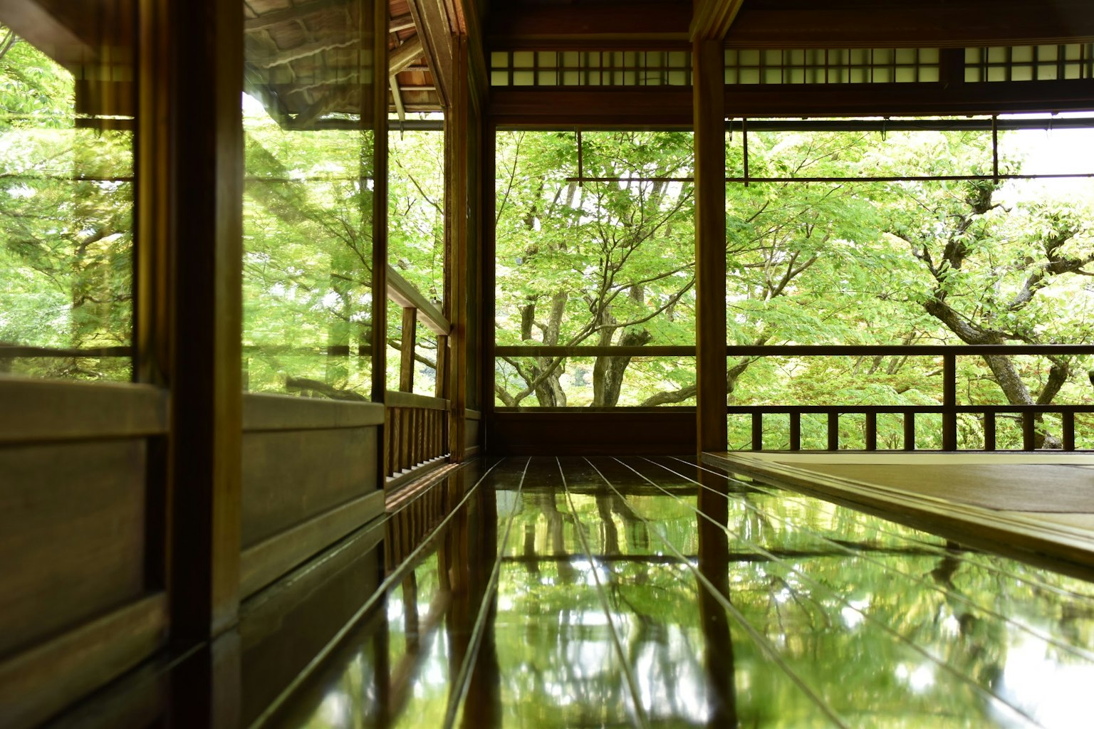 Vista de un jardín verde desde un interior de madera
