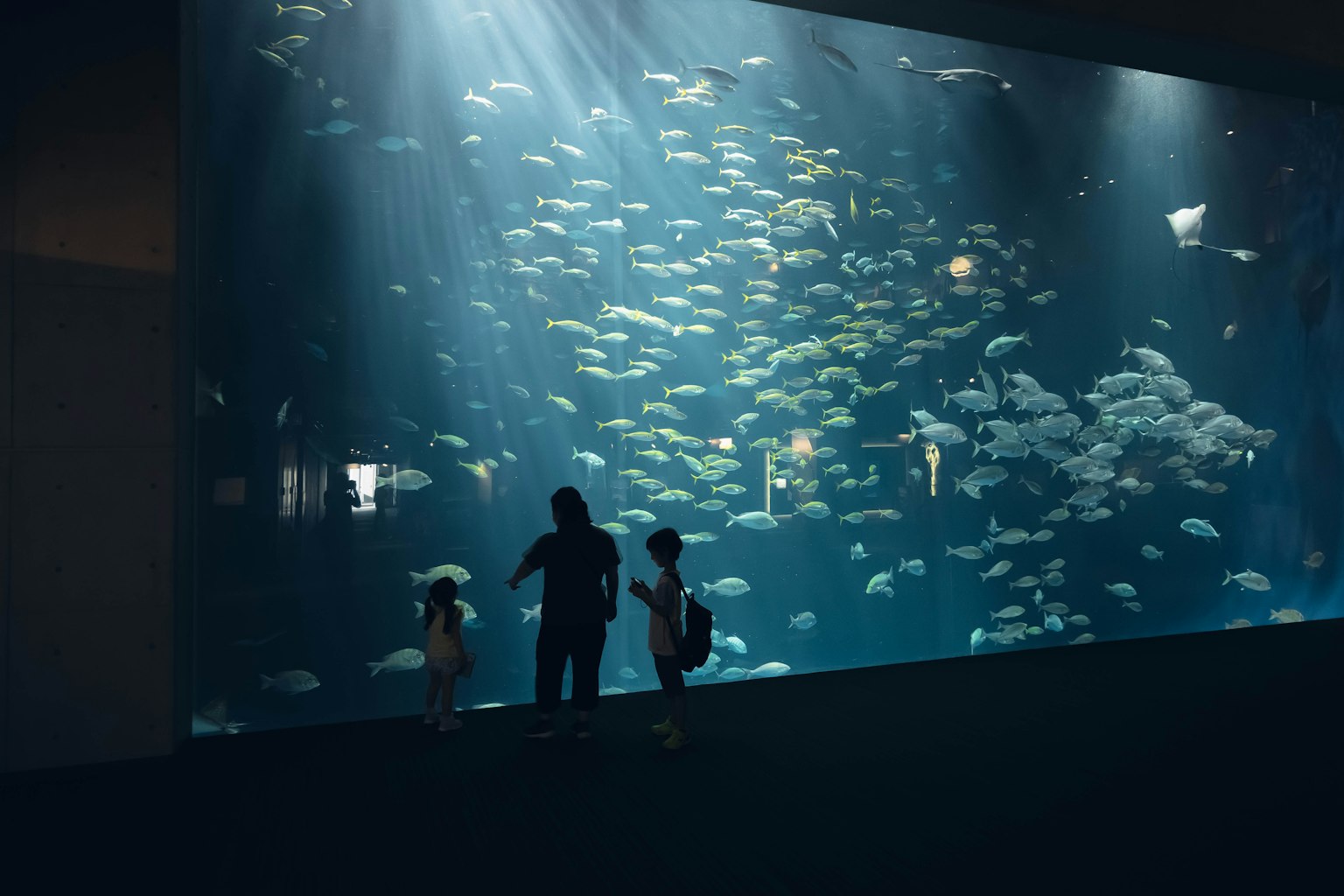Silhouette of a family in front of a large aquarium filled with various fish beams of light shining through the water