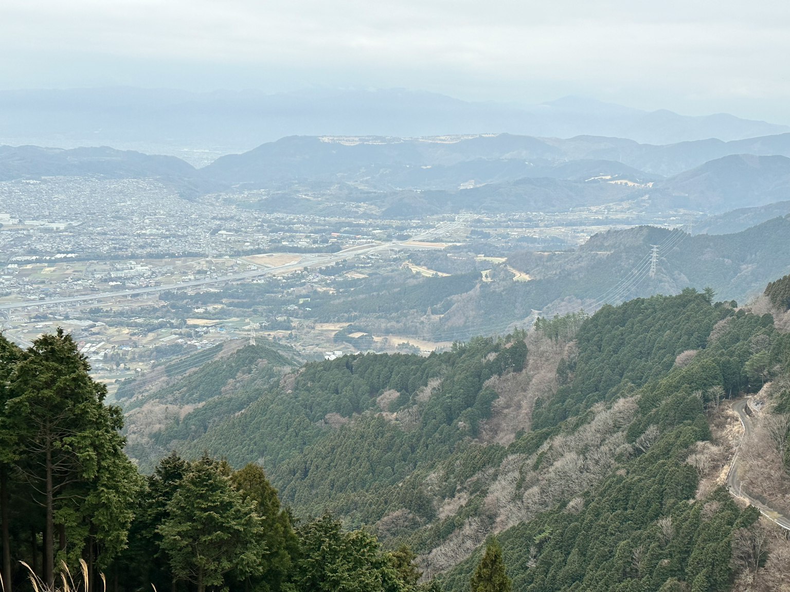 View from a mountain showing green trees and a distant urban landscape