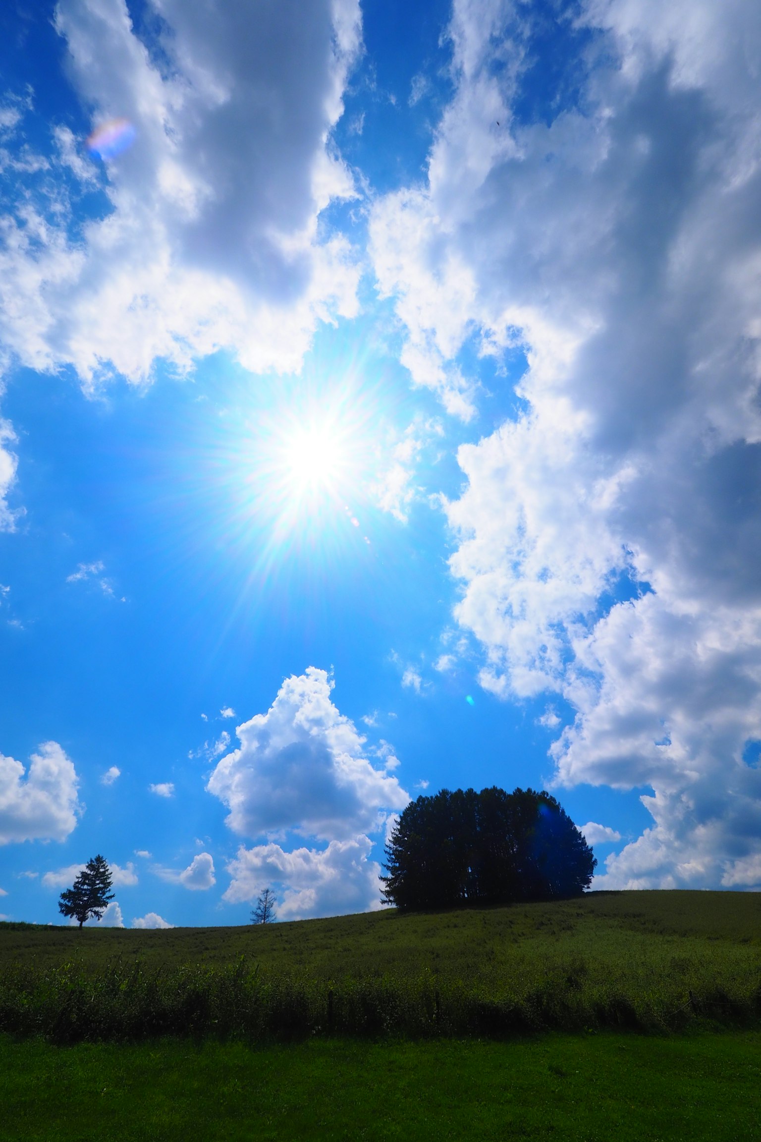 Grüne Wiese unter einem hellblauen Himmel mit fluffigen weißen Wolken und einer strahlenden Sonne