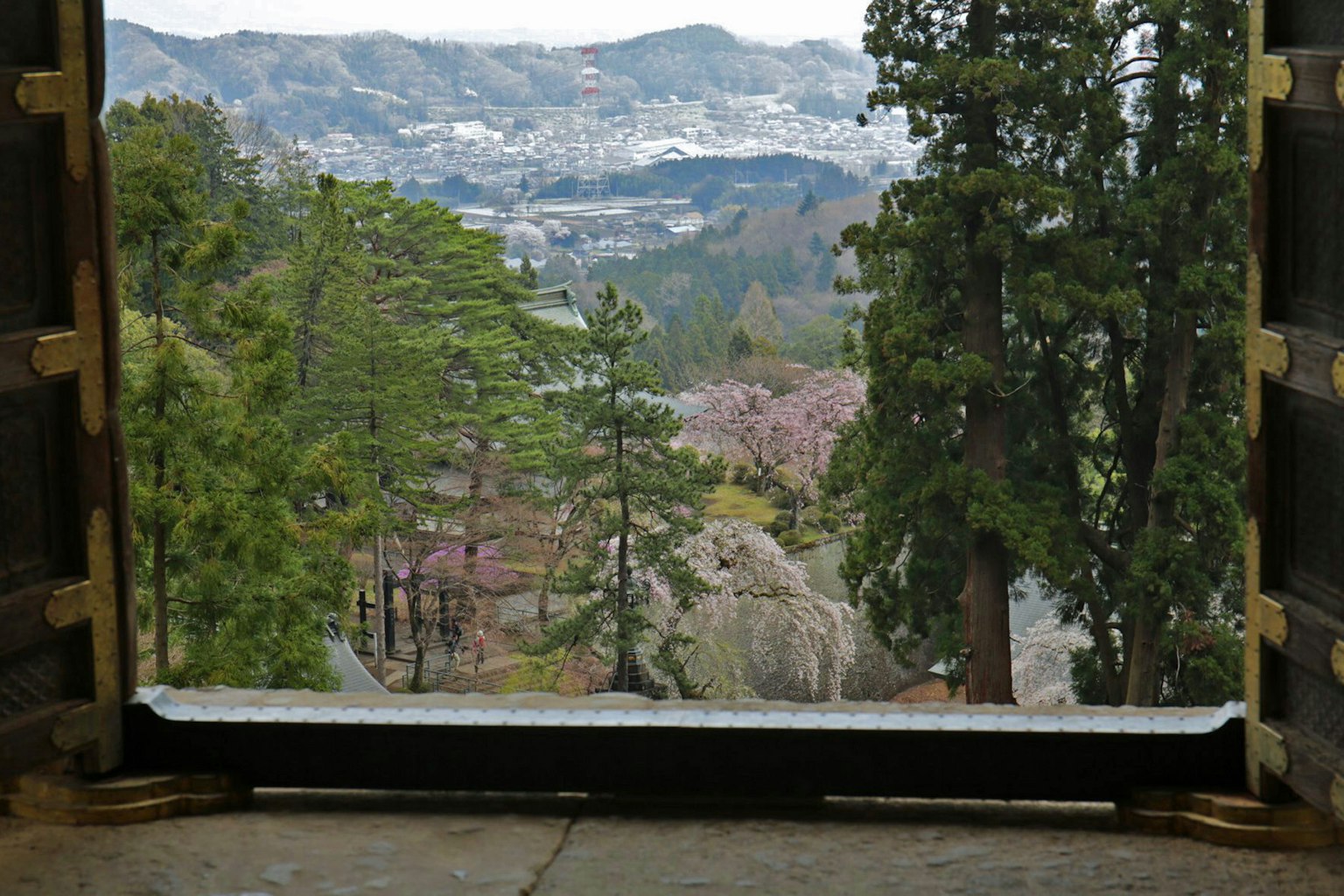 View of mountains and cherry blossoms from a window