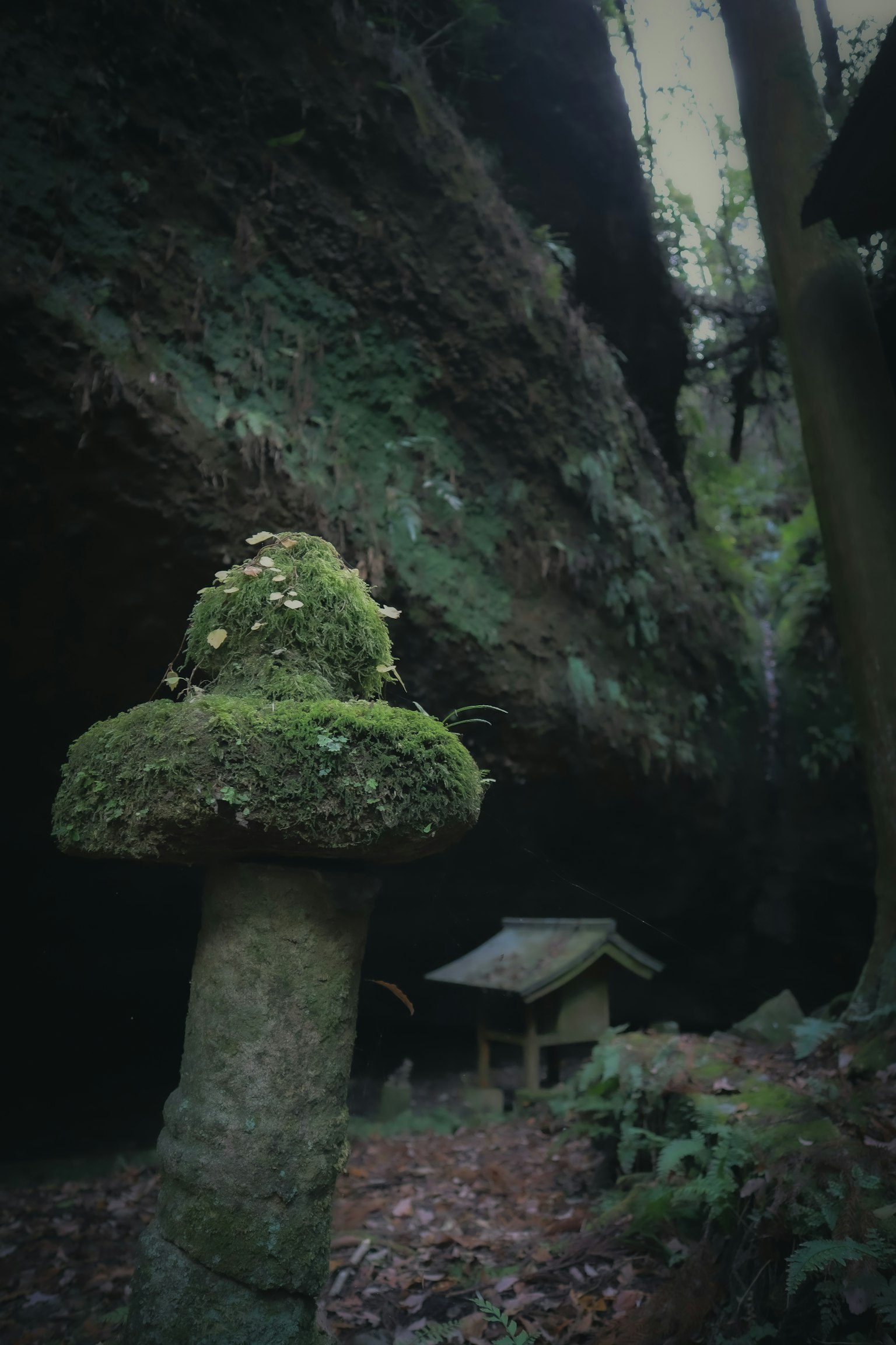 Linterna de piedra cubierta de musgo y pequeño santuario en un entorno forestal sereno