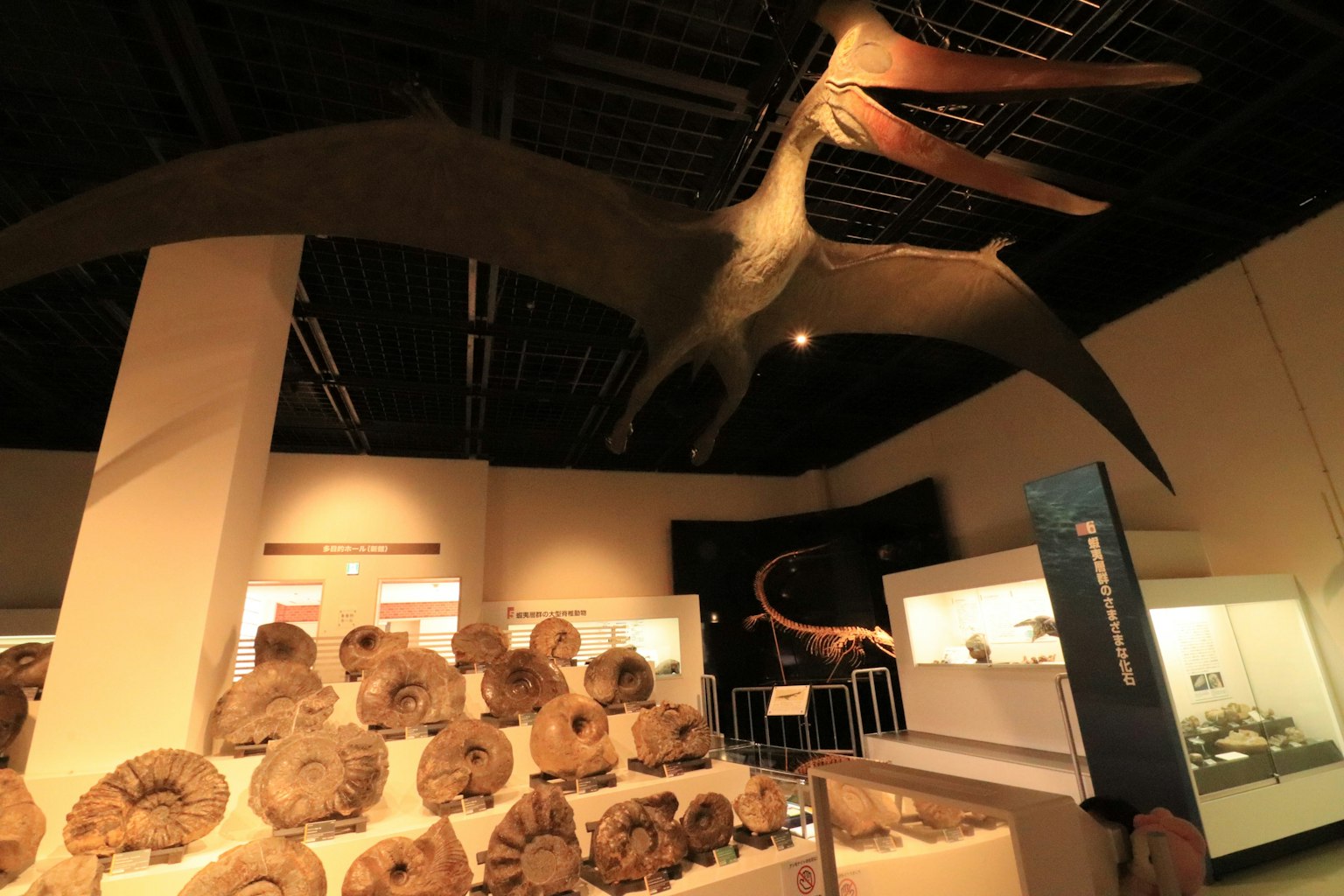 Pameran museum menampilkan fosil dinosaurus dan model pterosaurus