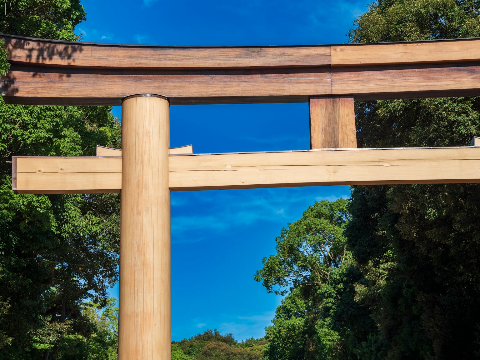 Große Holztorii unter einem blauen Himmel umgeben von grünen Bäumen