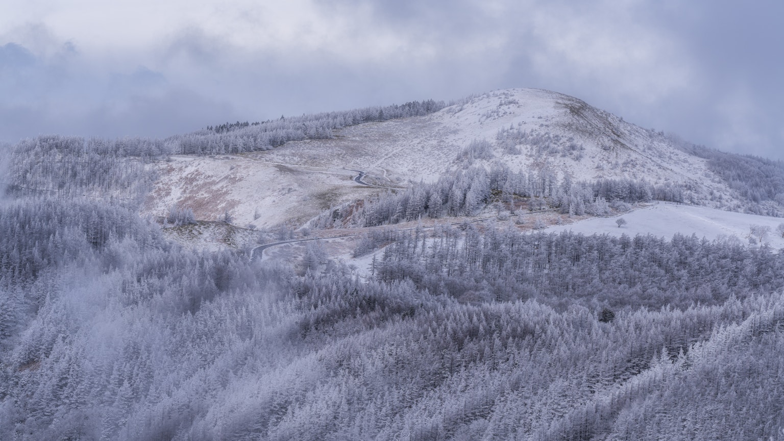 Schneebedeckte Berglandschaft mit dichten Wäldern