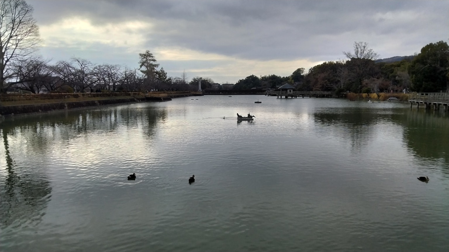 宁静的湖泊场景，有一只船和水鸟
