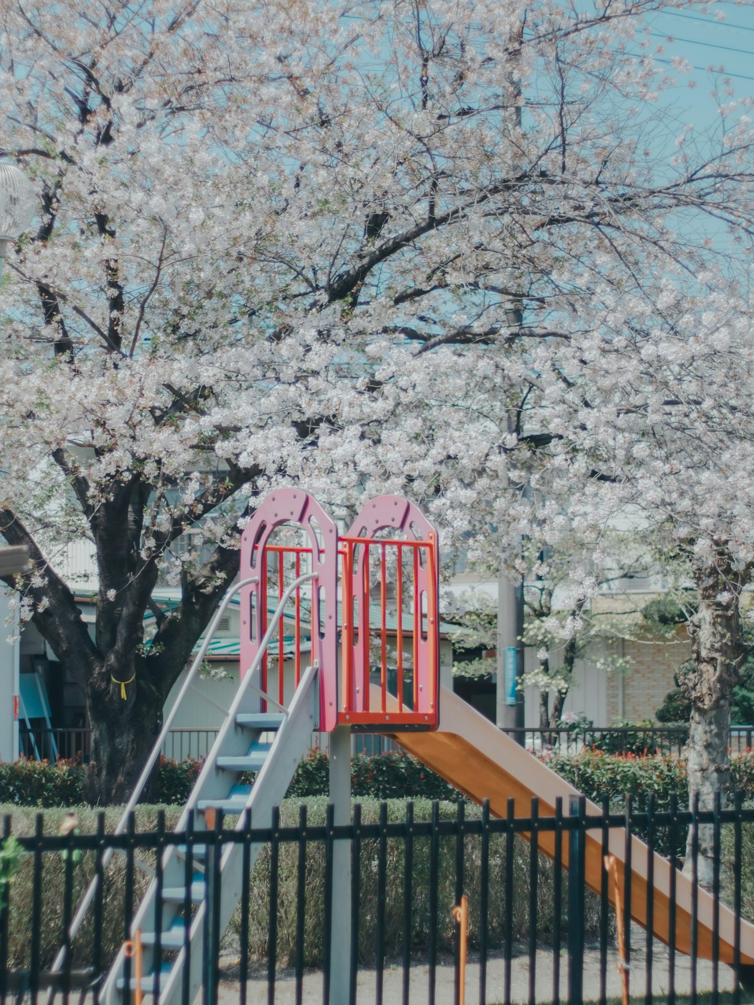 Rutsche und Leiter auf einem Spielplatz unter einem Kirschbaum