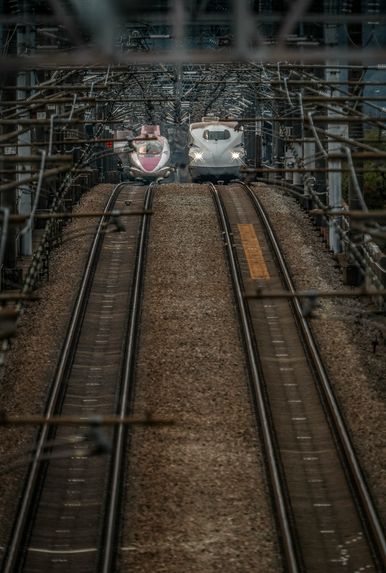 Due treni Shinkansen che si incrociano su binari