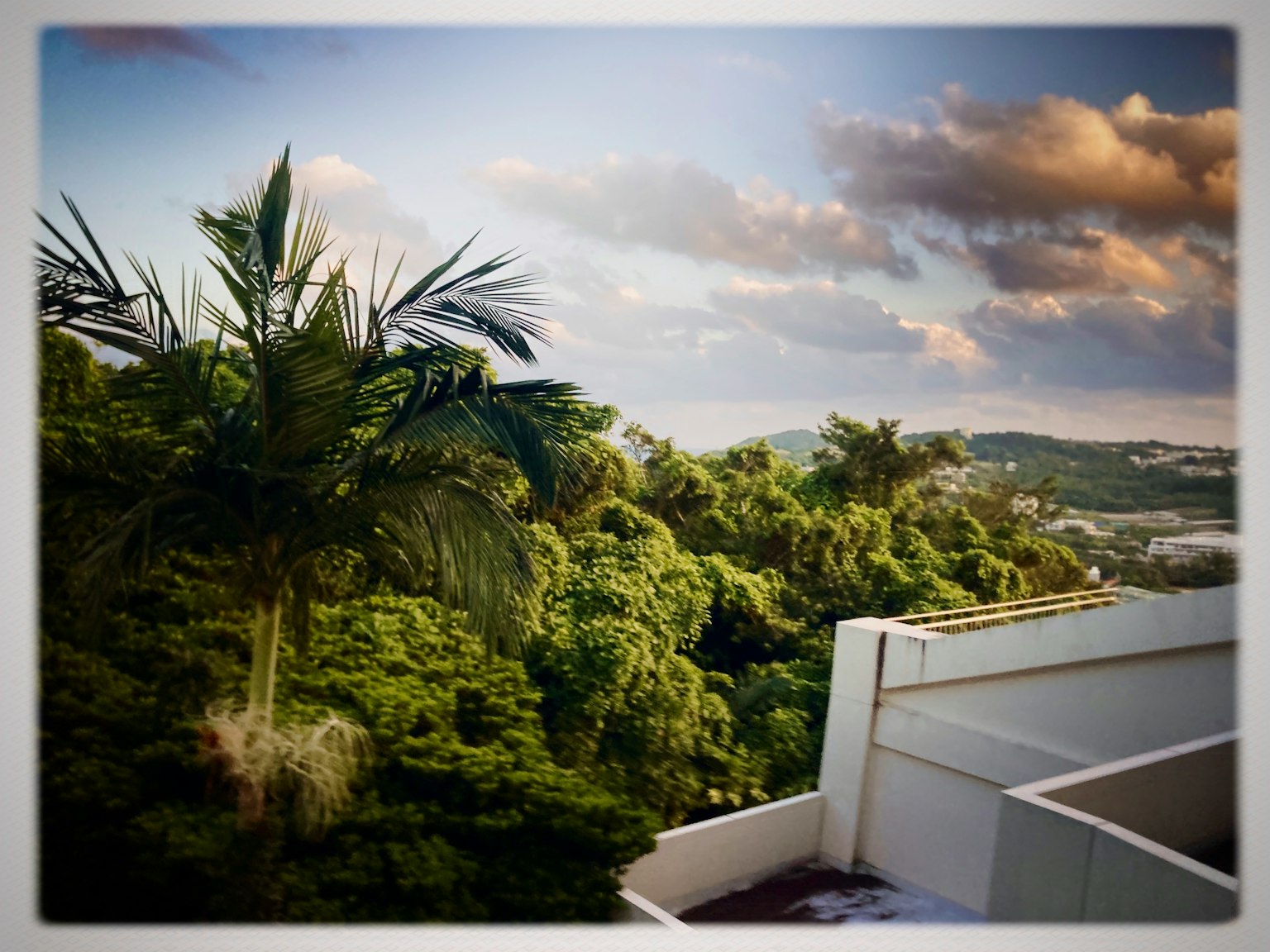 緑豊かな木々と青空の景色が広がるバルコニーからの眺め