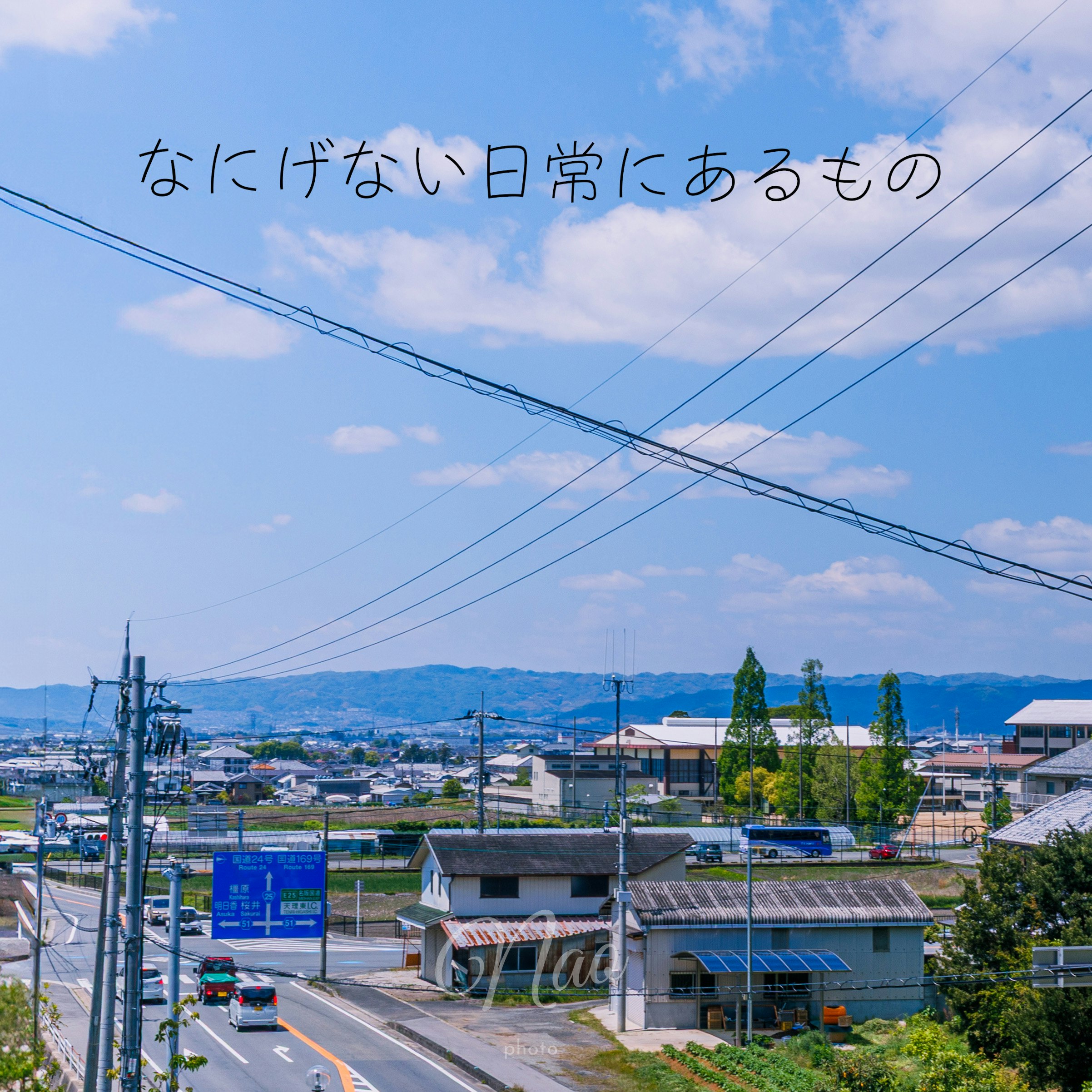 奈良の郊外を走る道路と電線のある風景