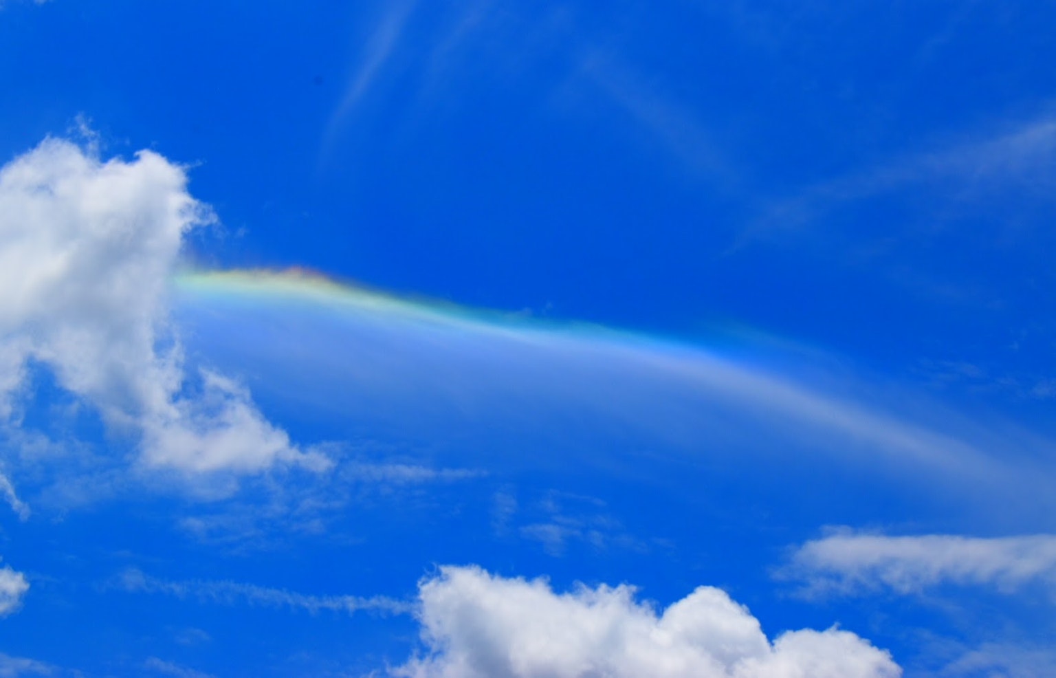 Ein bunter Regenbogen in einem hellblauen Himmel mit flauschigen Wolken
