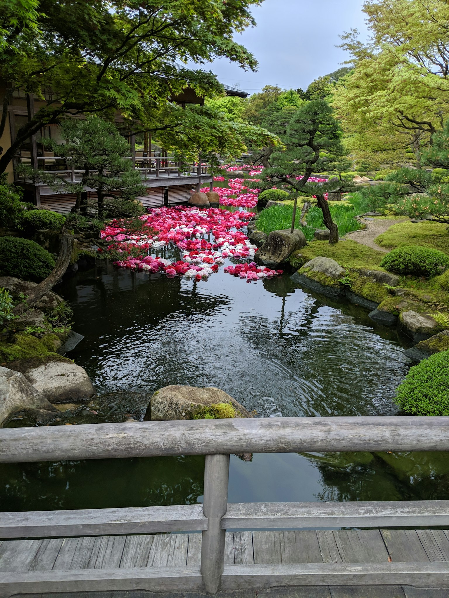 Jardin japonais avec un étang contenant des fleurs roses et de la verdure