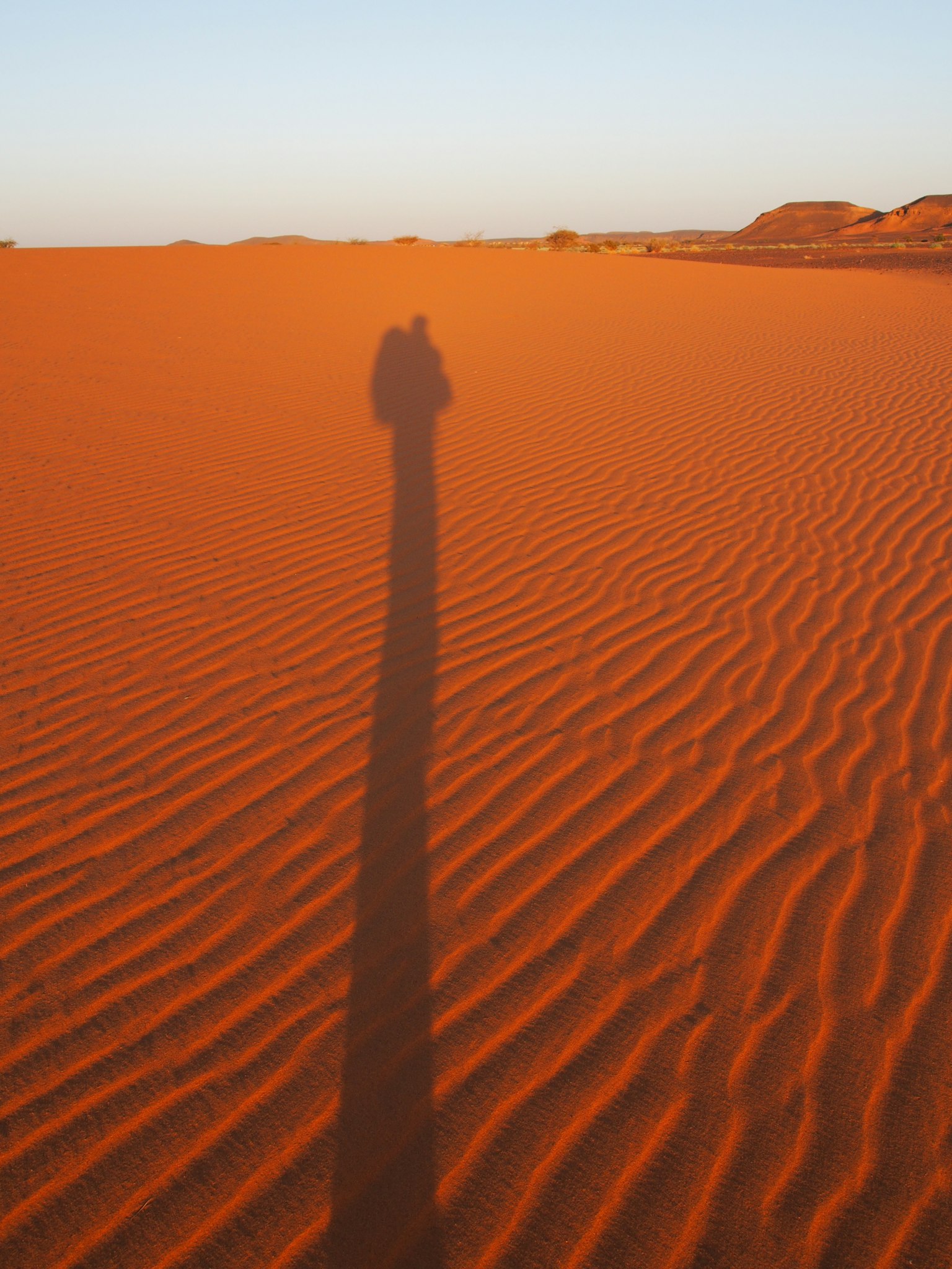 Ombre longue sur des dunes de sable rouge au coucher du soleil