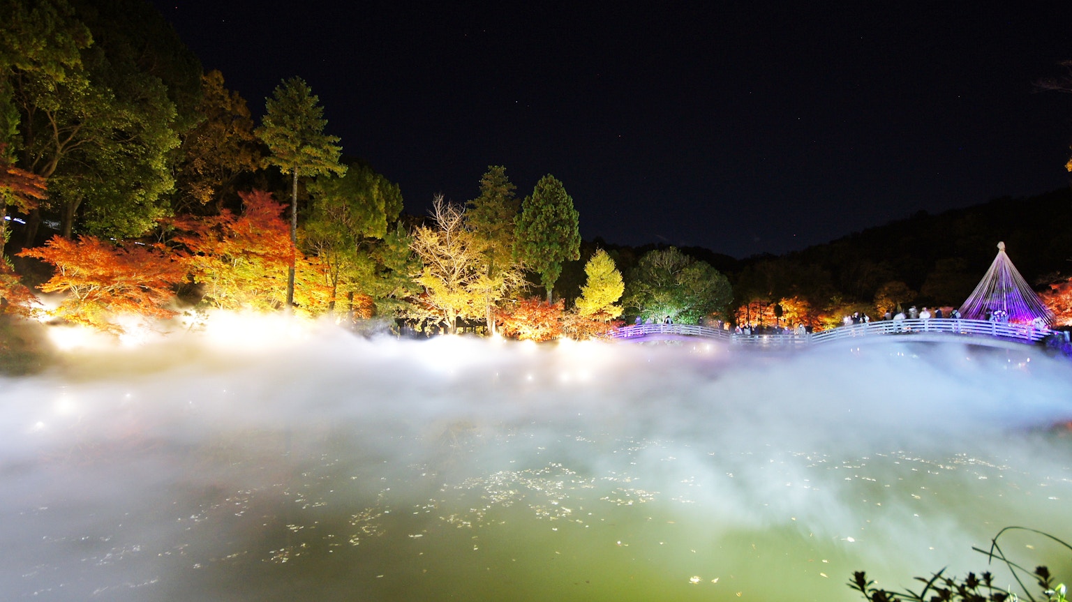 神奇的夜景，五彩斑斓的秋叶倒映在雾蒙蒙的池塘中