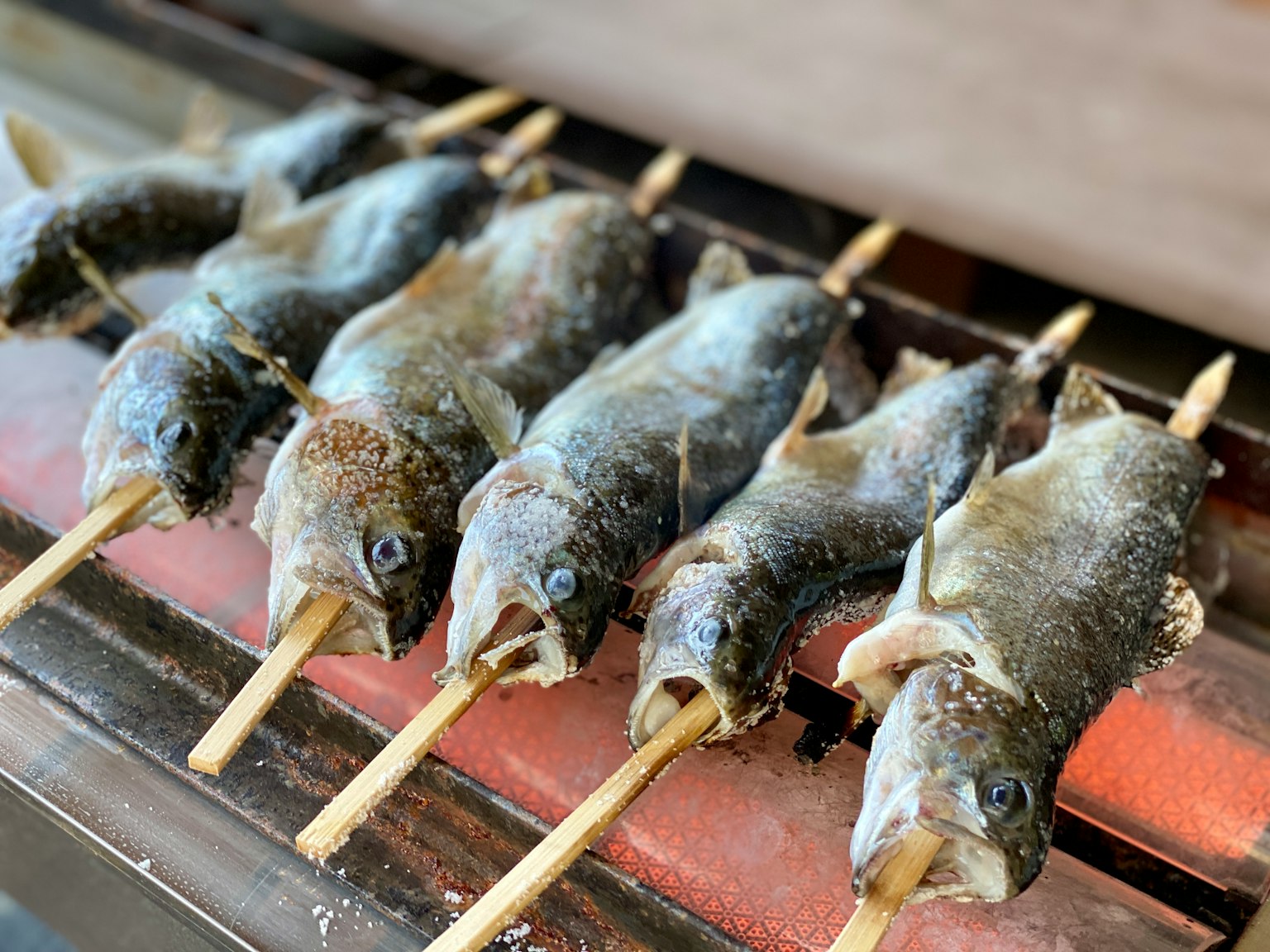 Pescados a la parrilla ensartados en palos dispuestos en fila