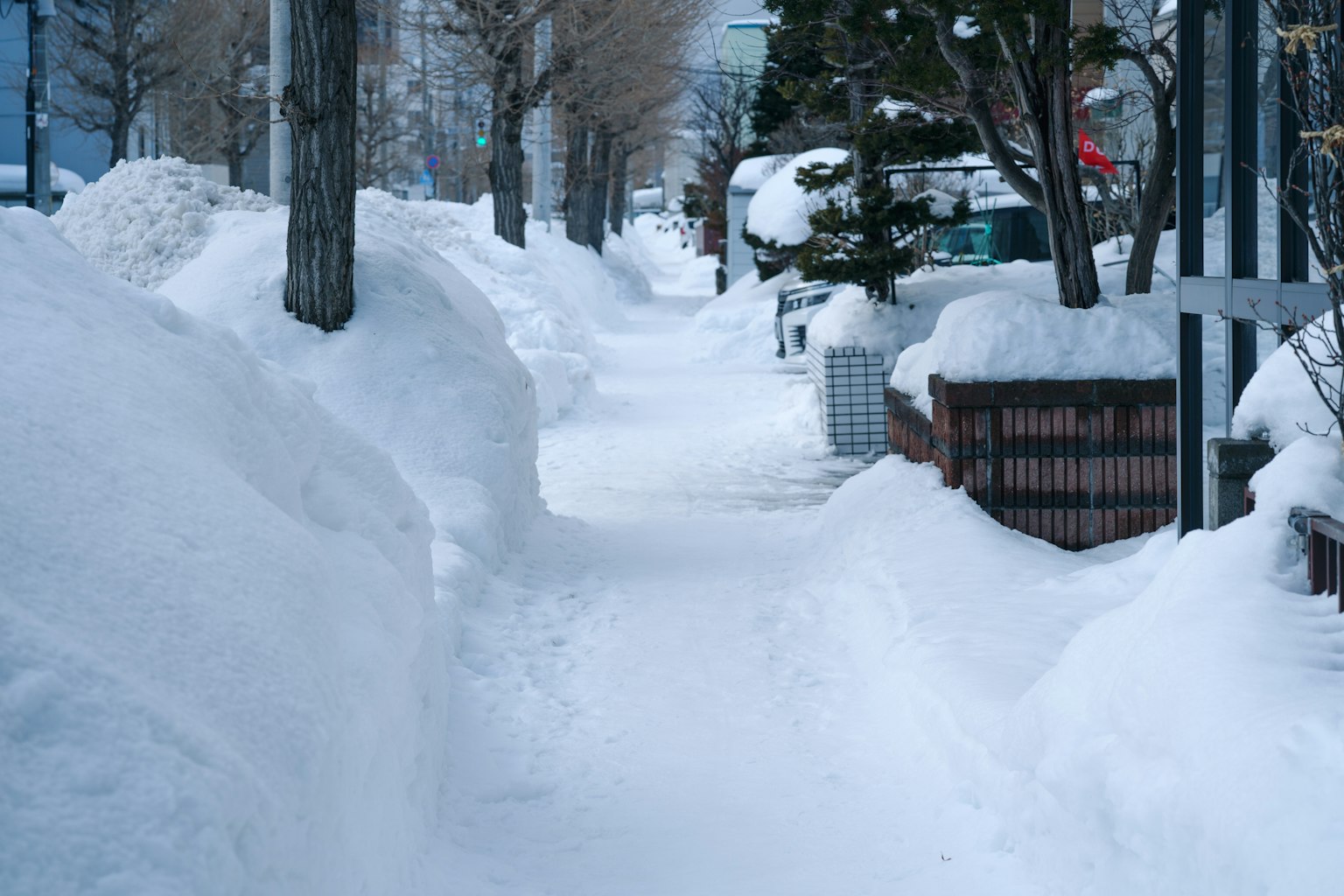 被雪覆盖的人行道两旁有树木
