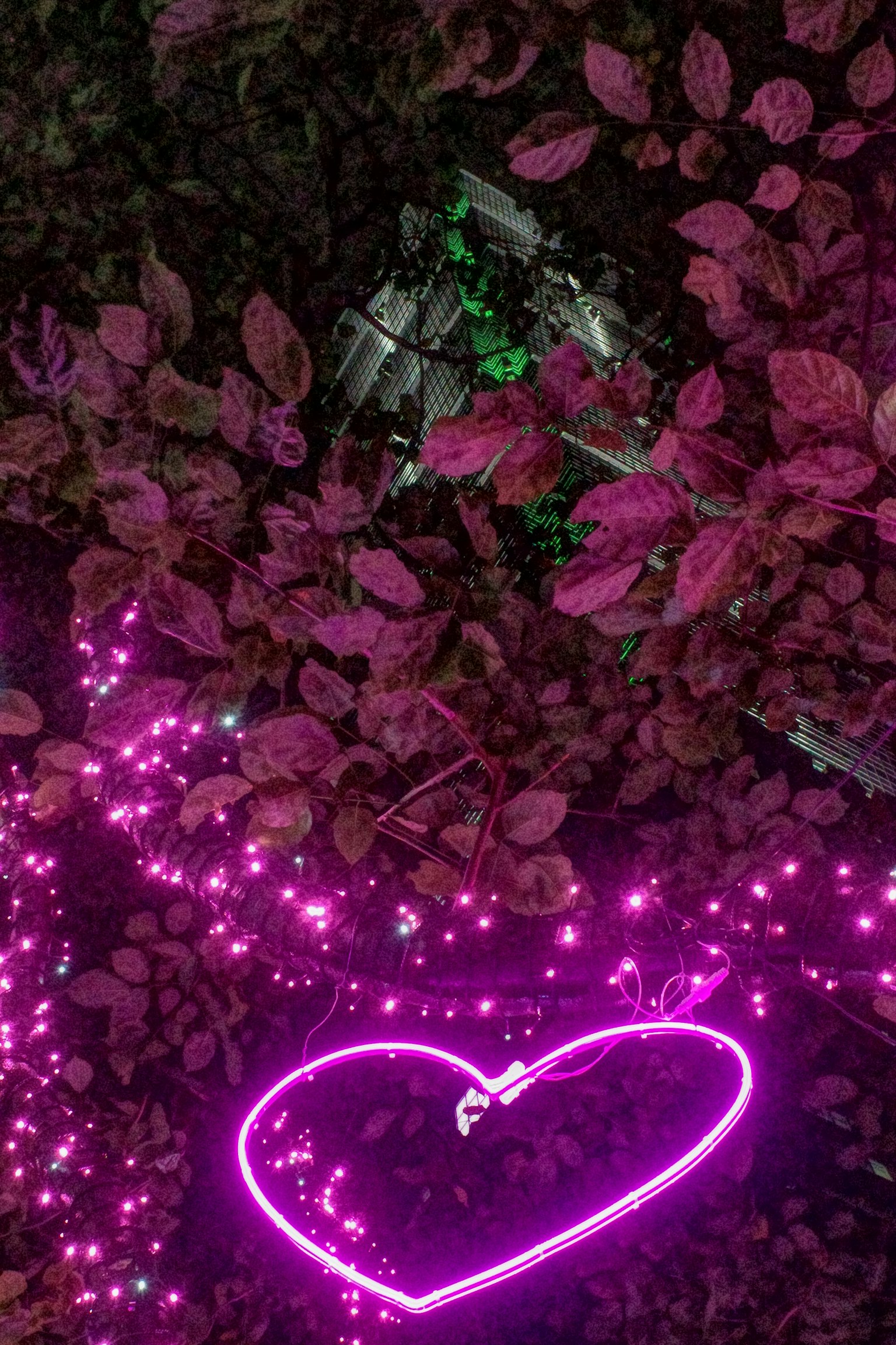 ピンクのライトで形作られたハートが緑の葉に囲まれている