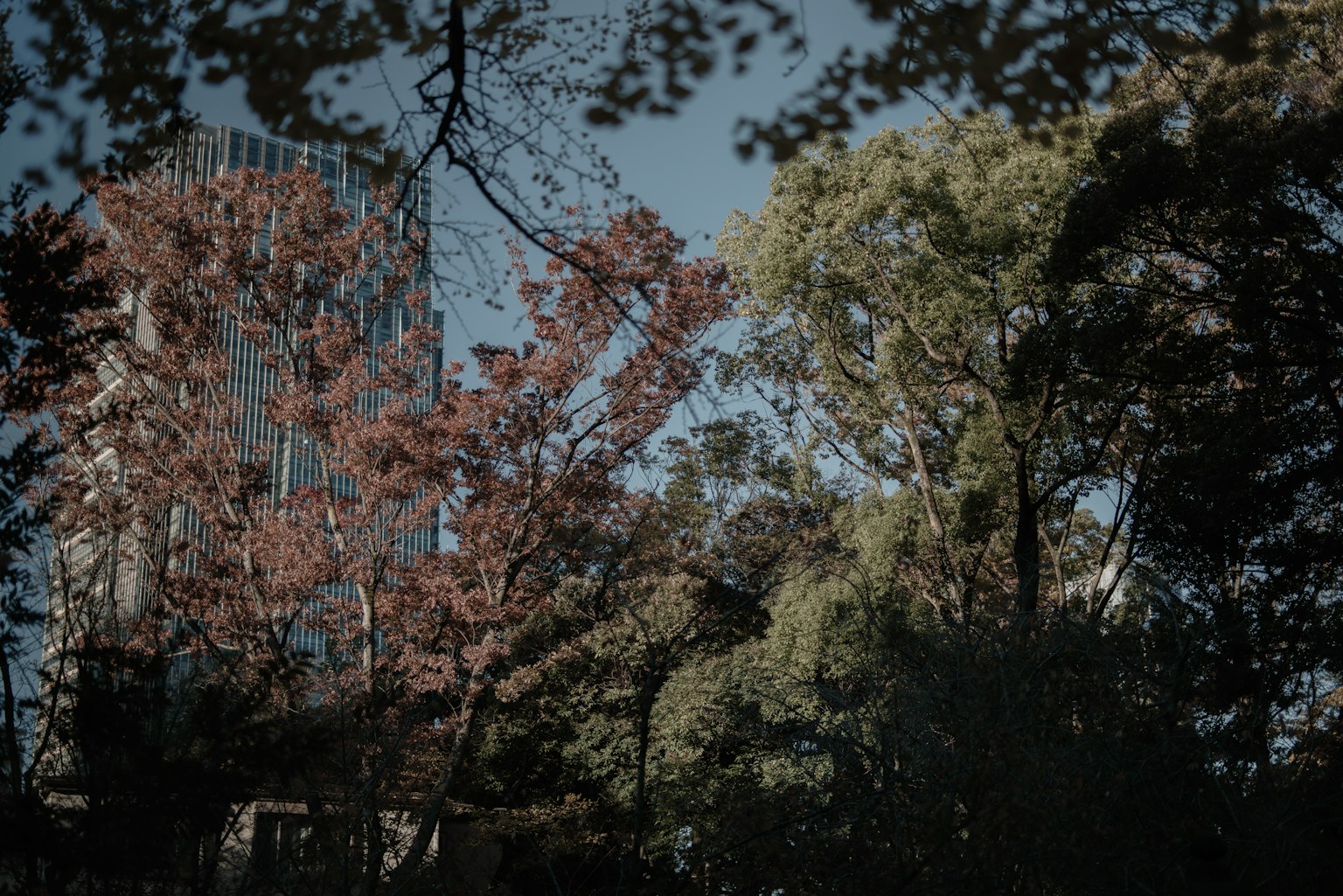 A view featuring a modern building surrounded by autumn trees