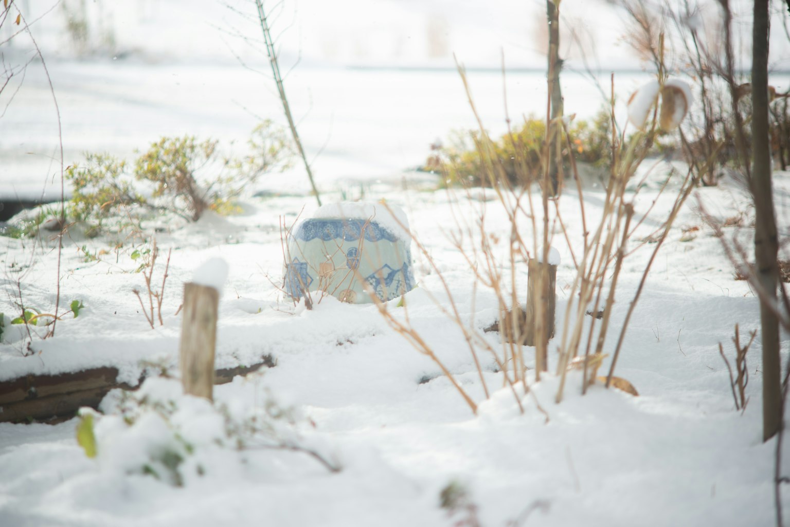 雪覆蓋的花園場景中的藍色花盆