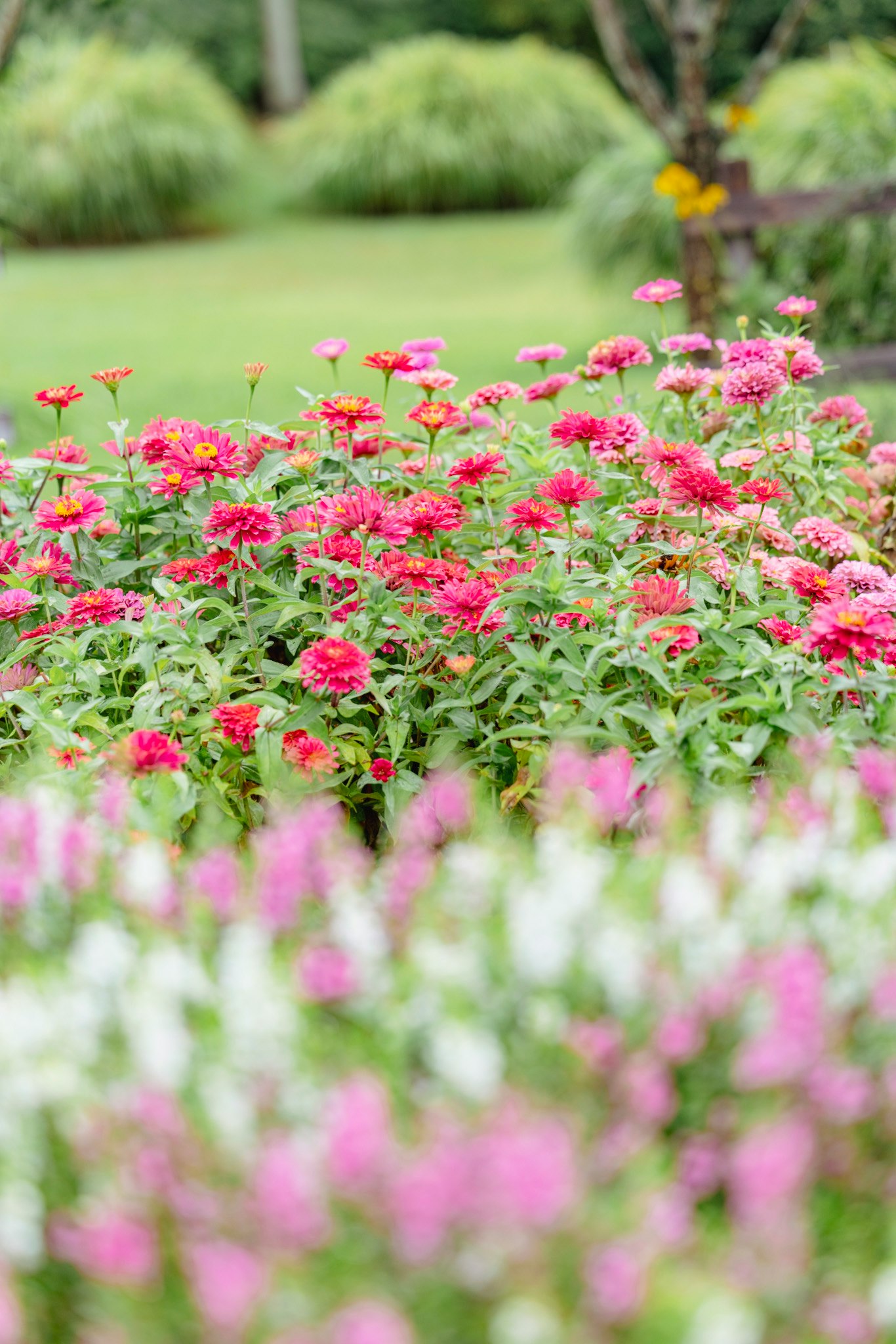 色とりどりの花が咲く庭の花壇