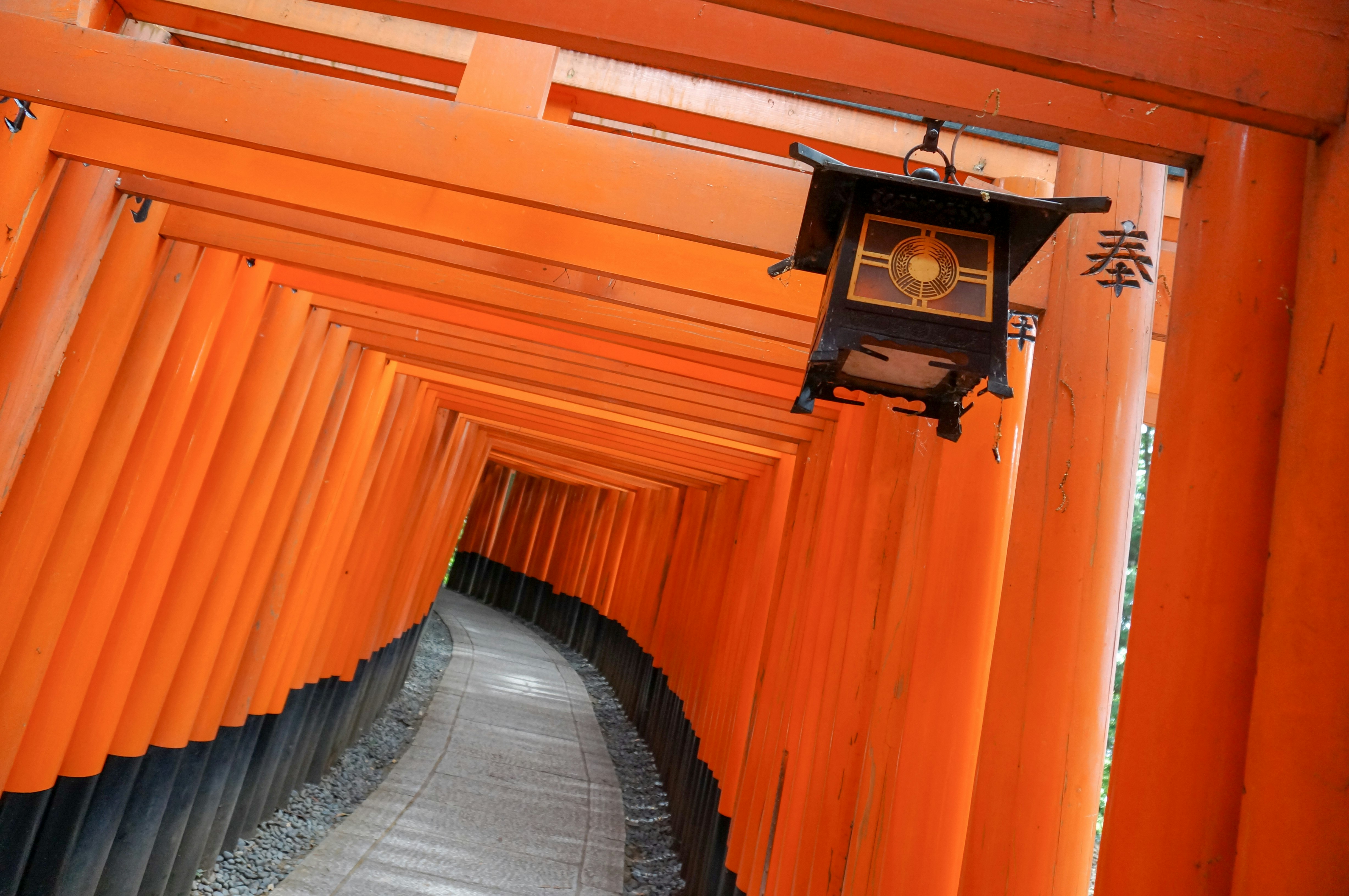 朱色の鳥居の並ぶ参道の奥
