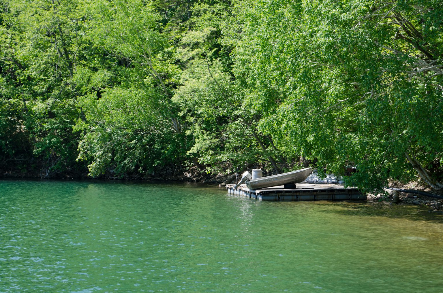 Un petit bateau flottant sur un lac tranquille entouré de verdure