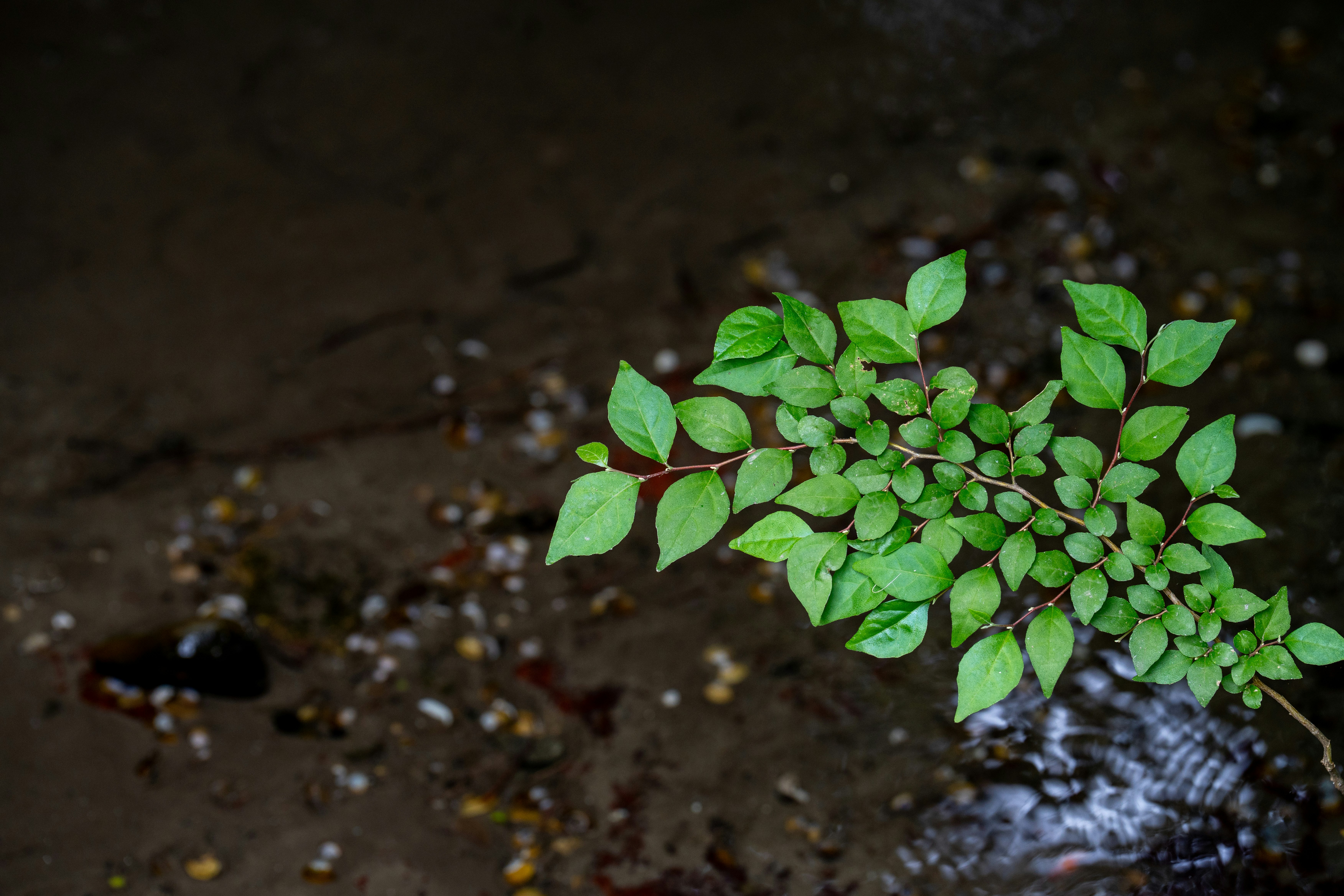 photo-rxWC40wph6uo5WJED93H-image