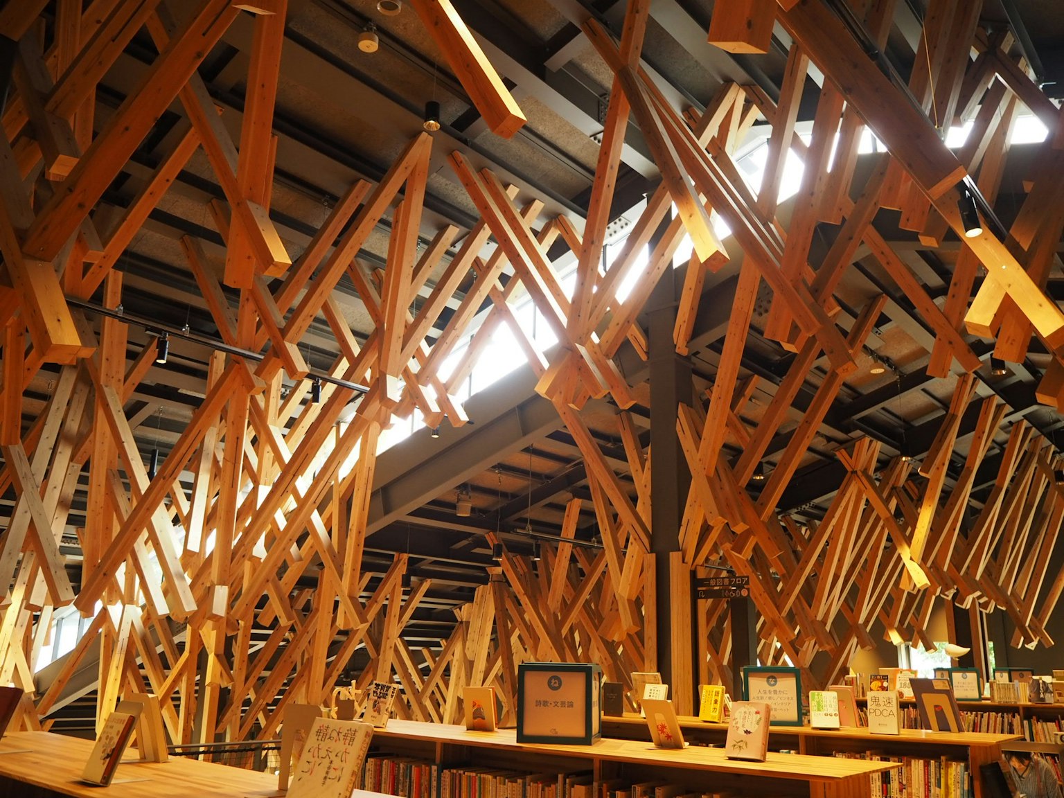 Interno unico di una biblioteca con travi in legno sospese