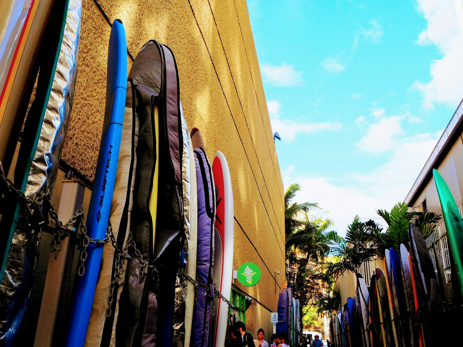 Des planches de surf colorées alignées contre un mur sous un ciel bleu