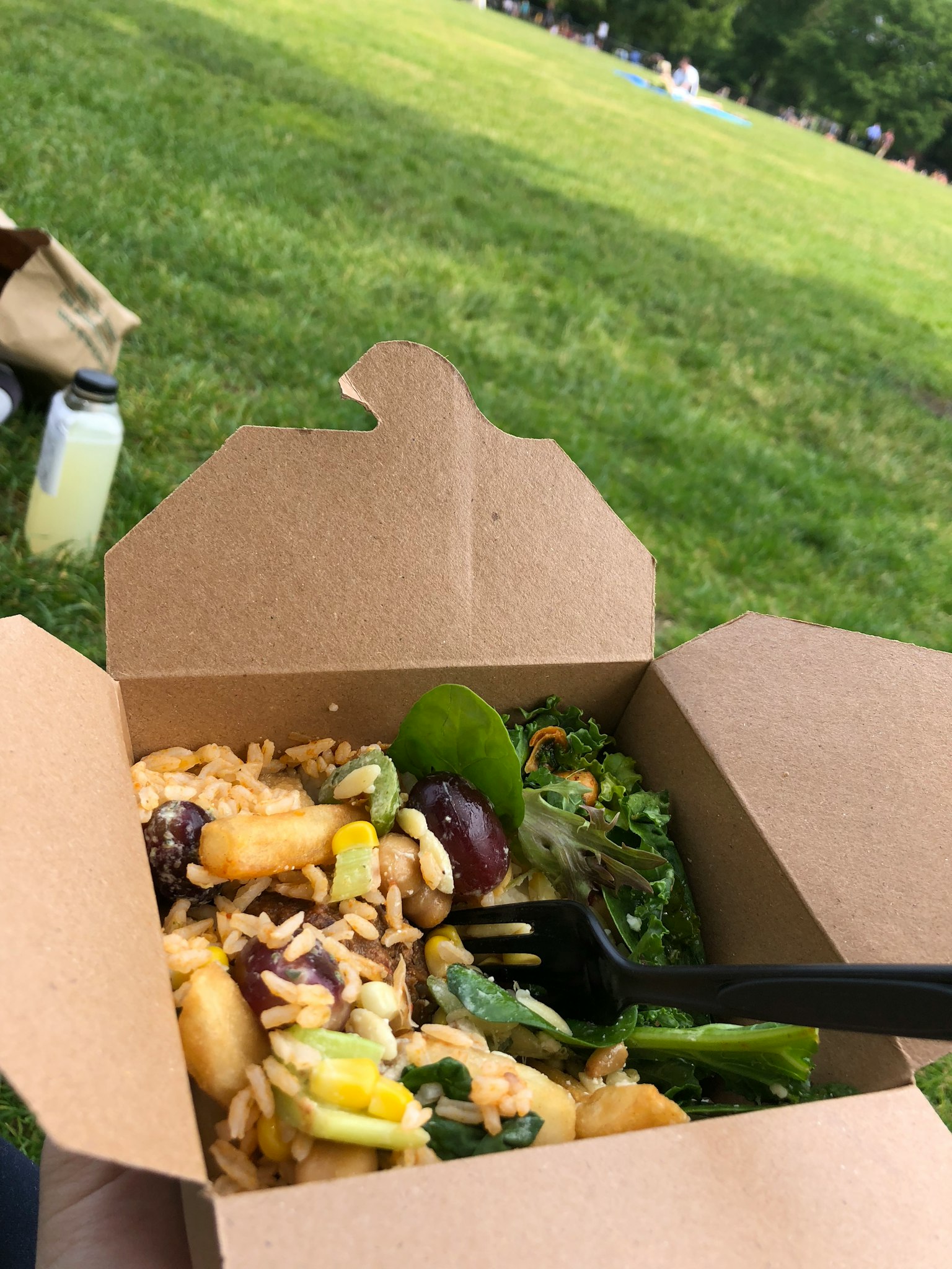 一個人在公園裡享用外賣盒中的食物
