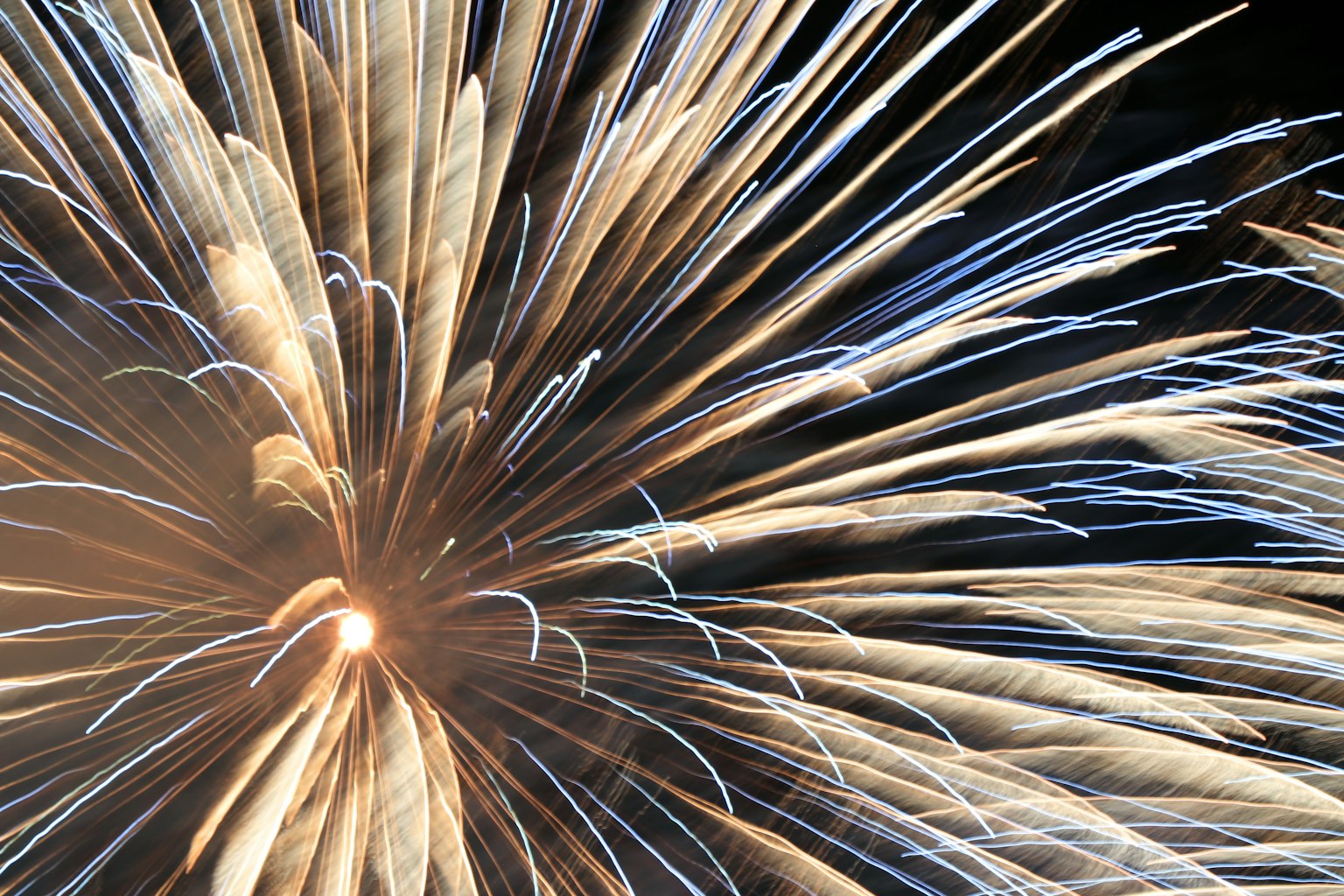 Explosion de feux d'artifice rayonnant des couleurs vives avec des lignes distinctes