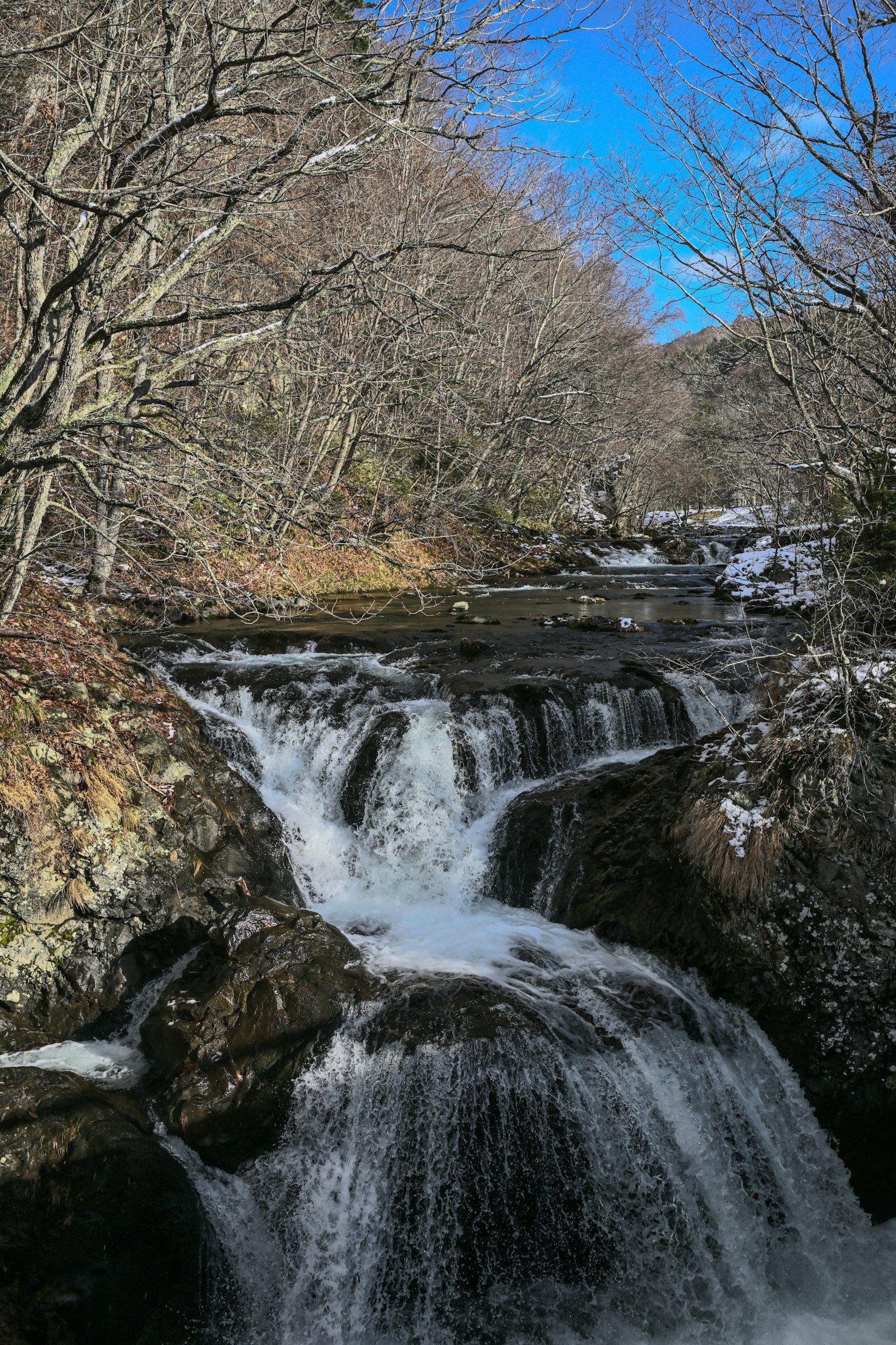 Carré gris simple sur un fond sombre