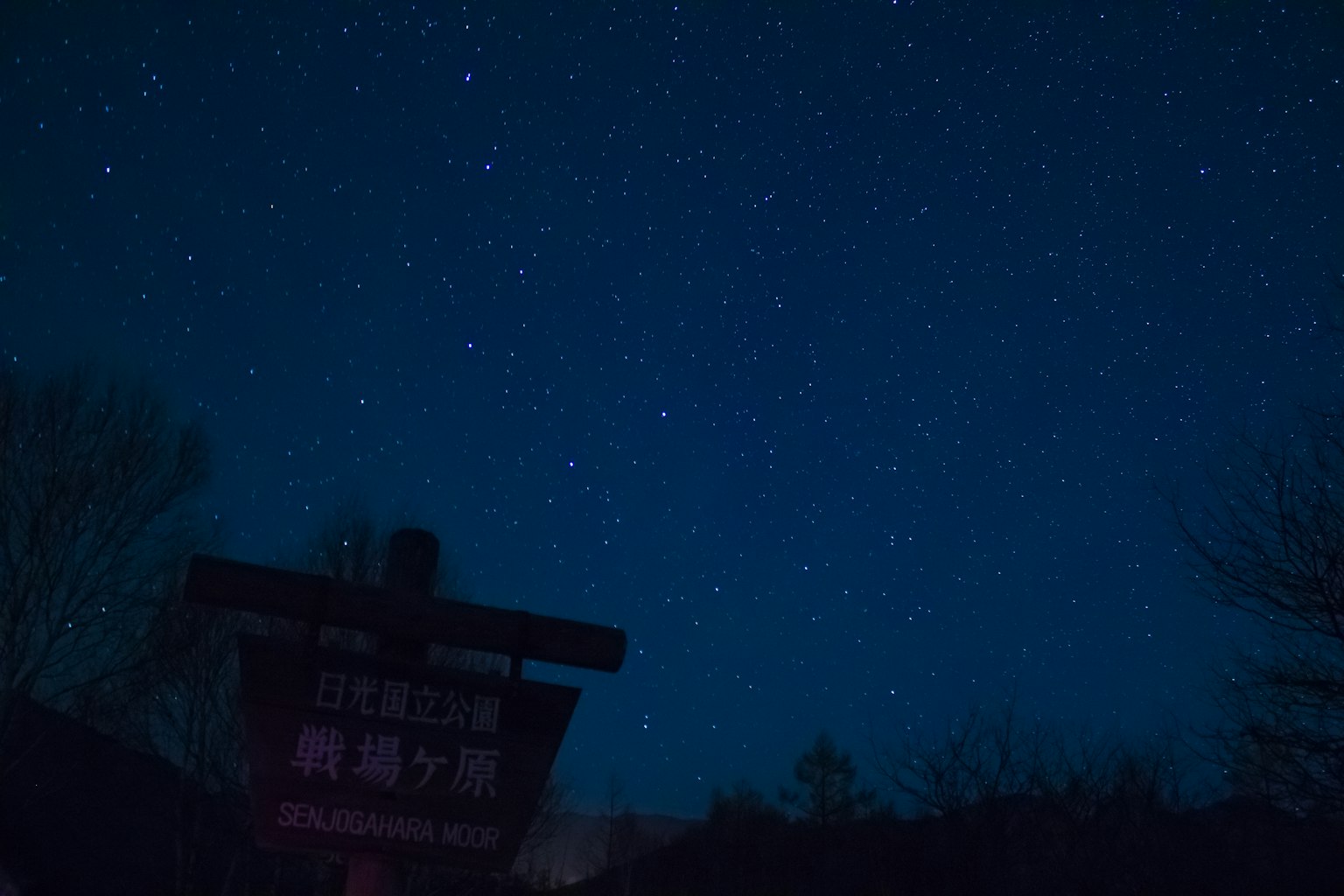 Cielo estrellado con la silueta de un letrero