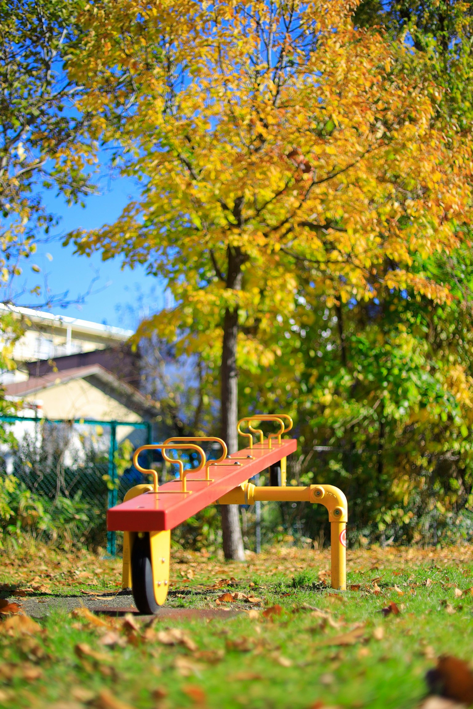 Columpio en un parque rodeado de árboles de otoño