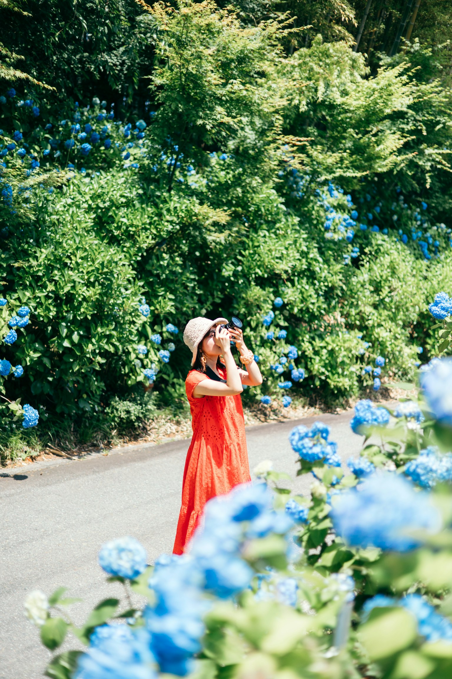 Donna in abito rosso con una macchina fotografica davanti a ortensie blu