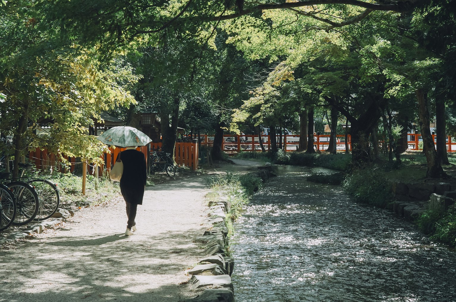A person walking with an umbrella on a path surrounded by green trees