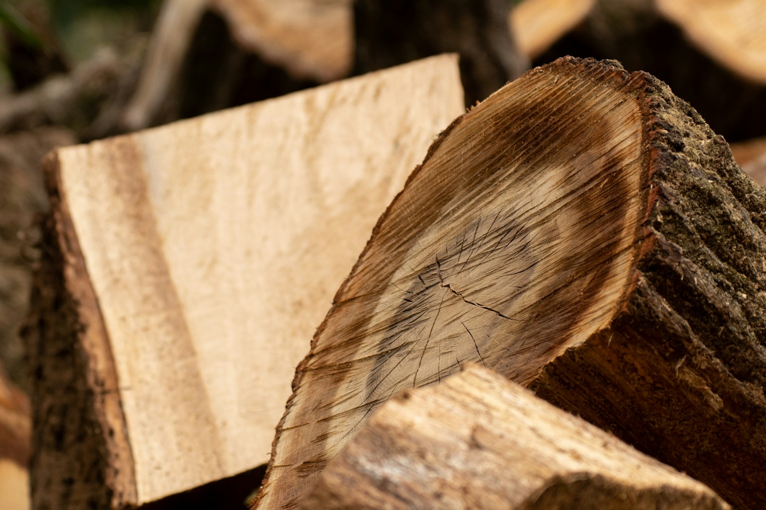 Nahaufnahme von Holzstämmen mit strukturiertem Korn und geschnittenen Oberflächen