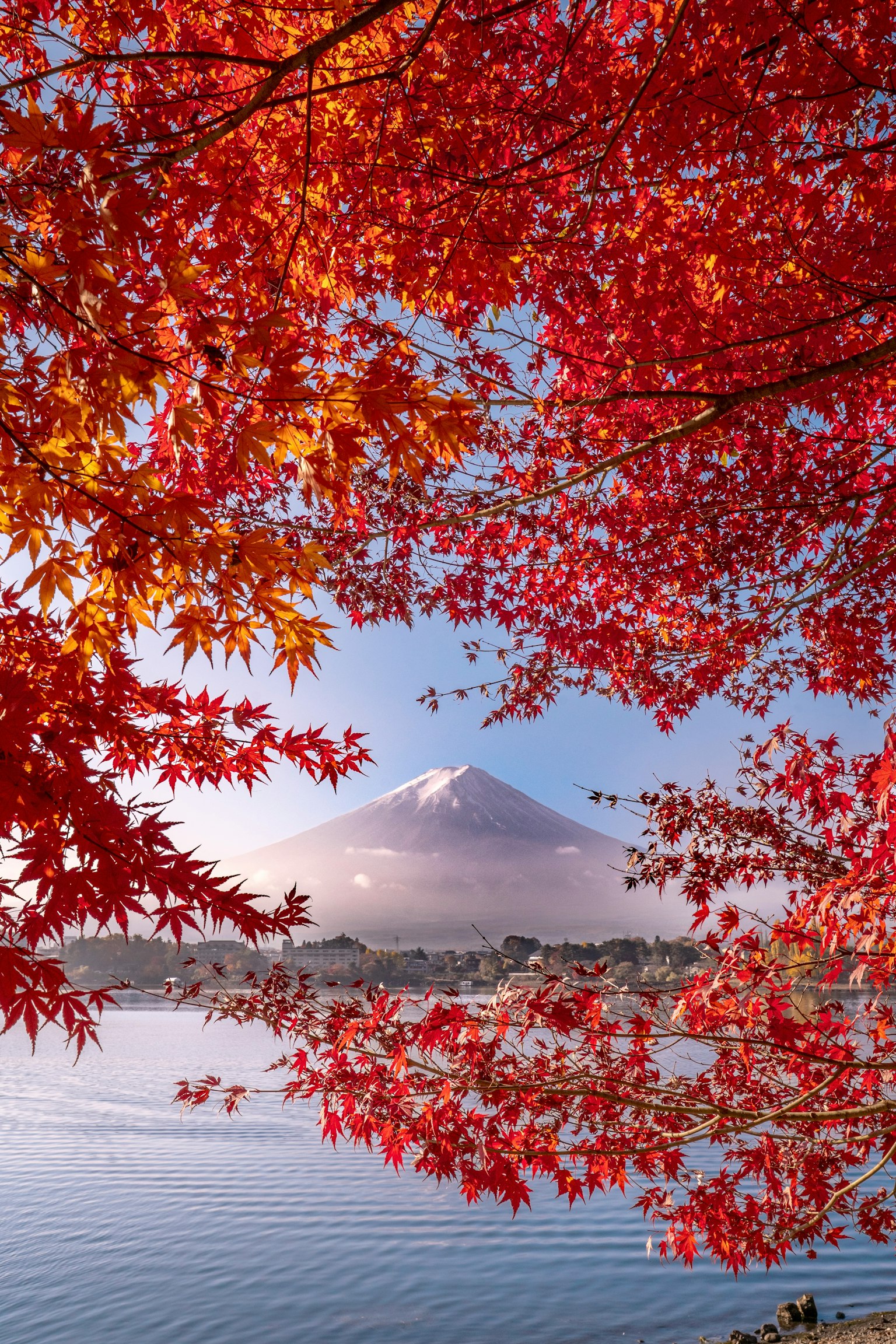 Vue pittoresque du mont Fuji encadré par des feuilles d'automne vibrantes au-dessus d'un lac
