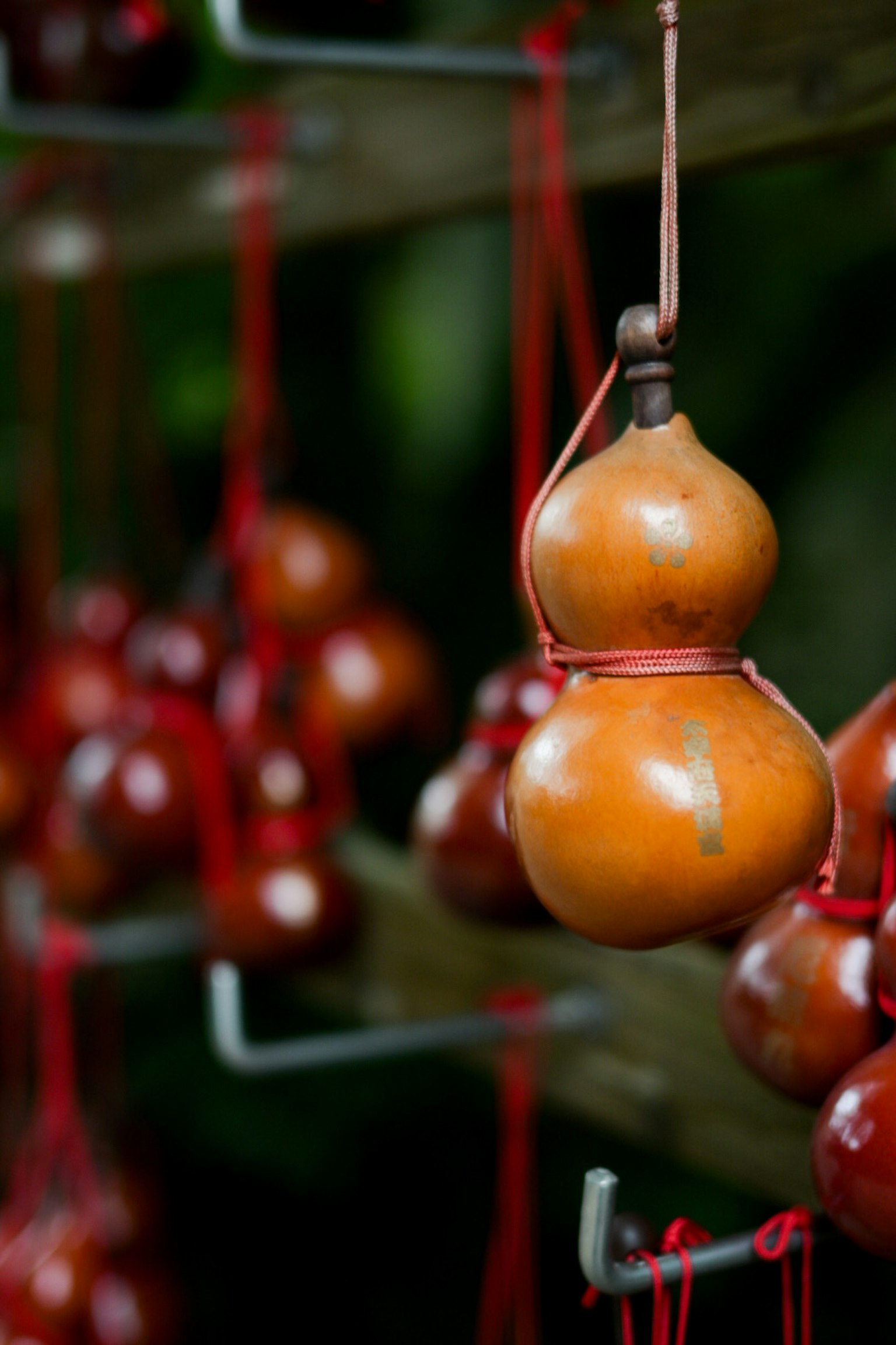 Imagen de calabazas naranjas colgadas con cuerdas rojas