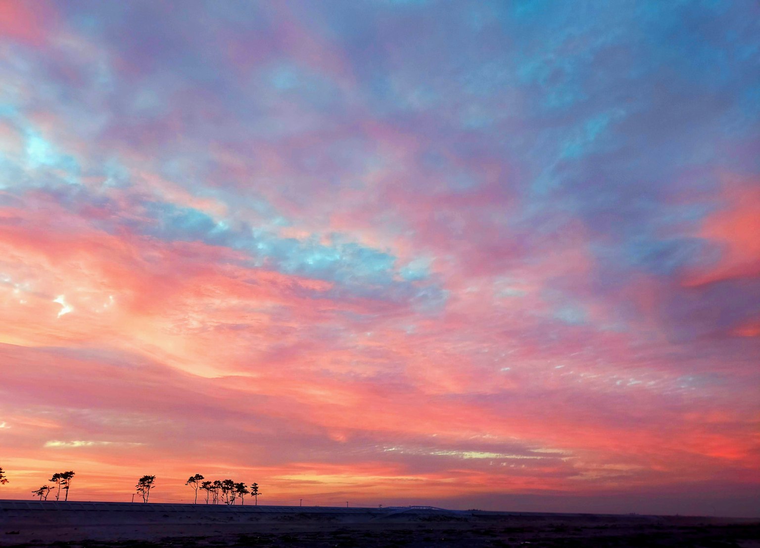 Langit senja yang cerah dengan awan biru dan merah muda dan pohon siluet
