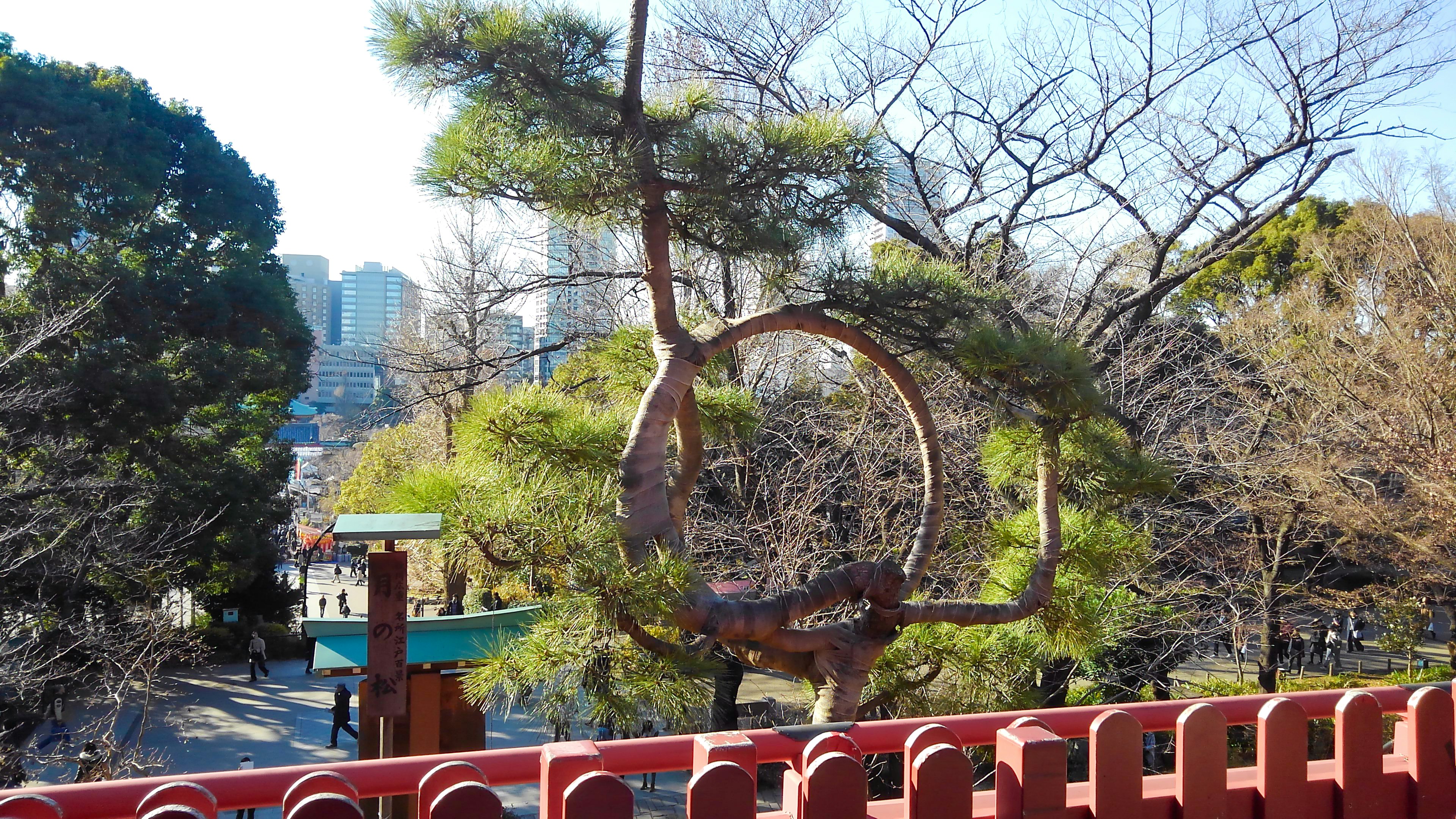 park scene with a large metal ring sculpture and trees