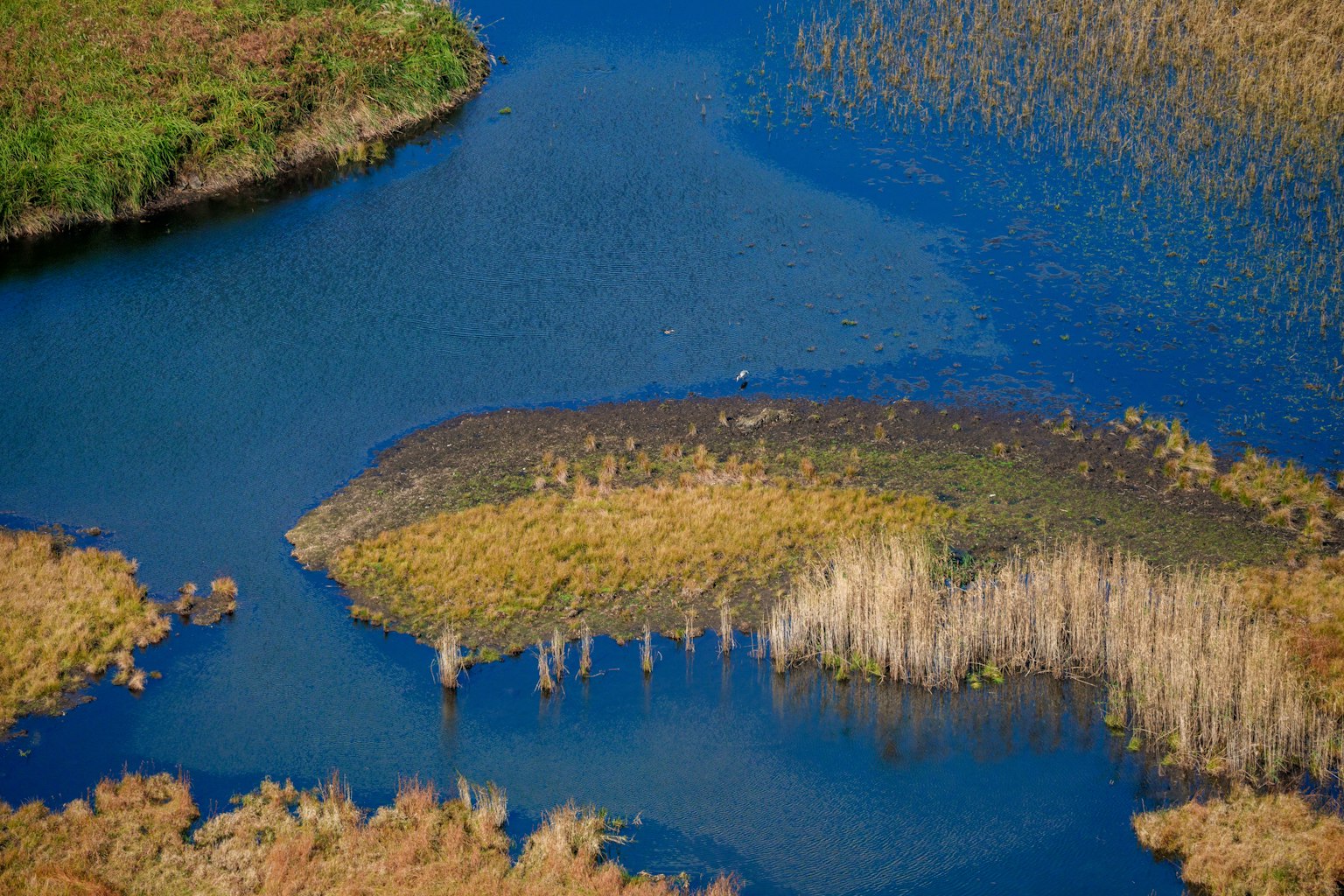 Vue aérienne d'un marais avec de l'eau bleue et des herbes dorées