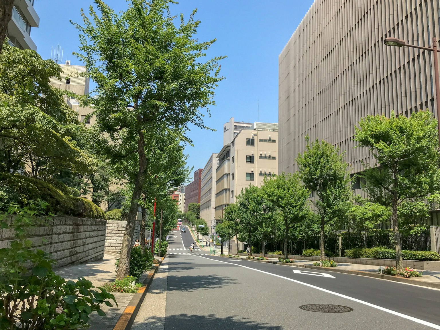 樹木和建築在晴朗藍天下的街道景觀