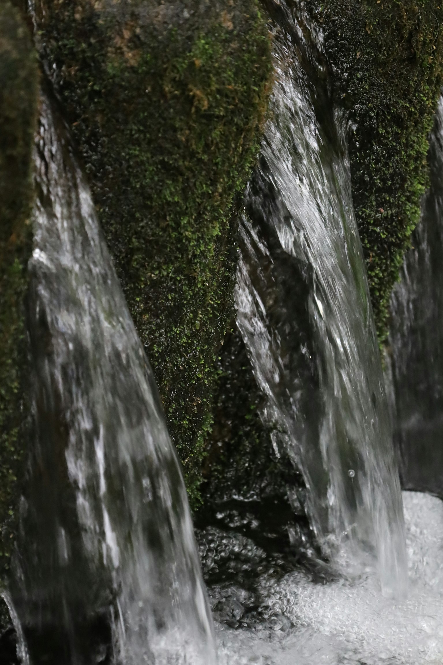 水の流れが見える緑の苔の岩