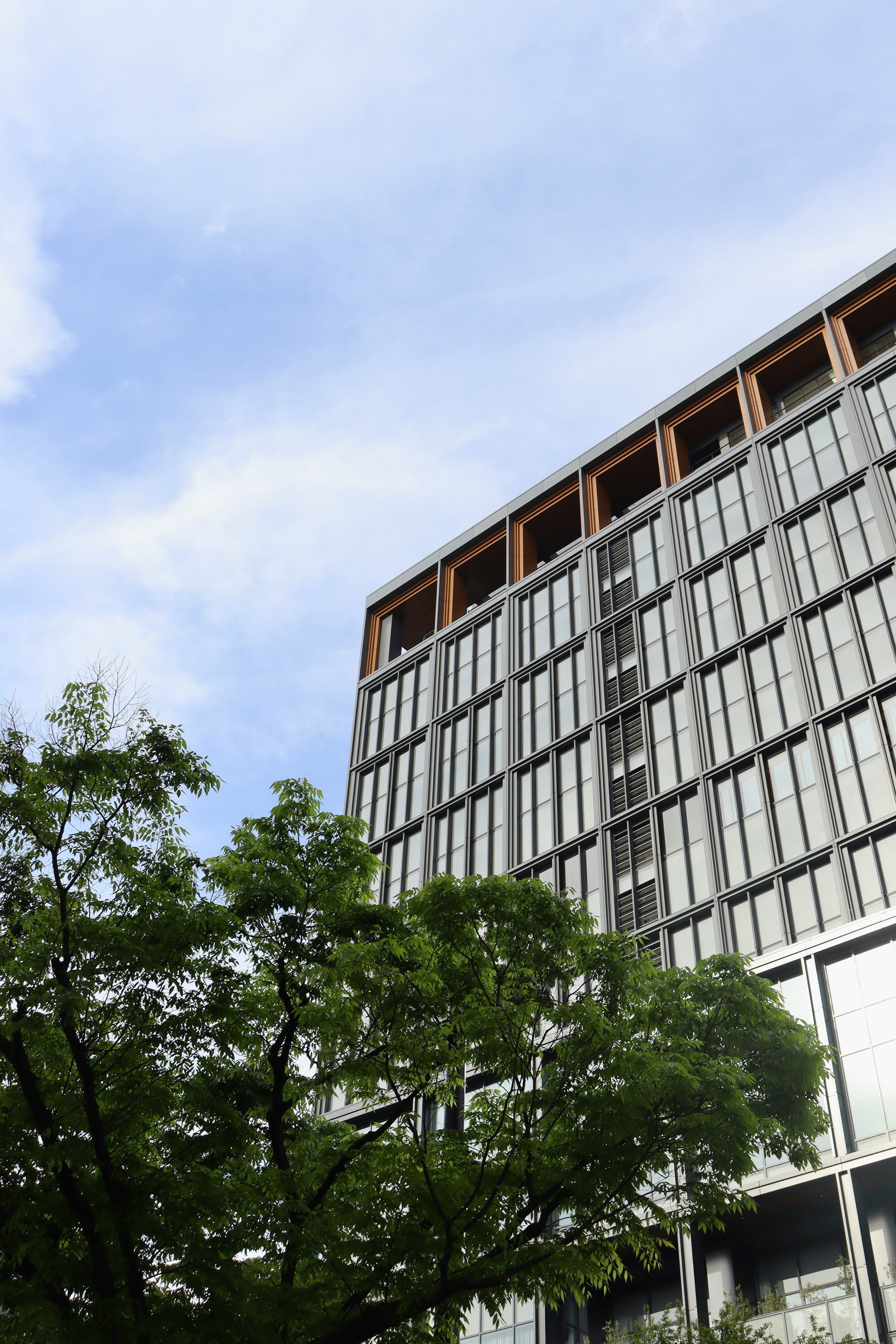 木々に囲まれた近代的な建物の外観