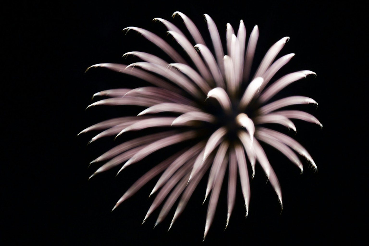 Forma blanca similar a un fuego artificial sobre fondo negro