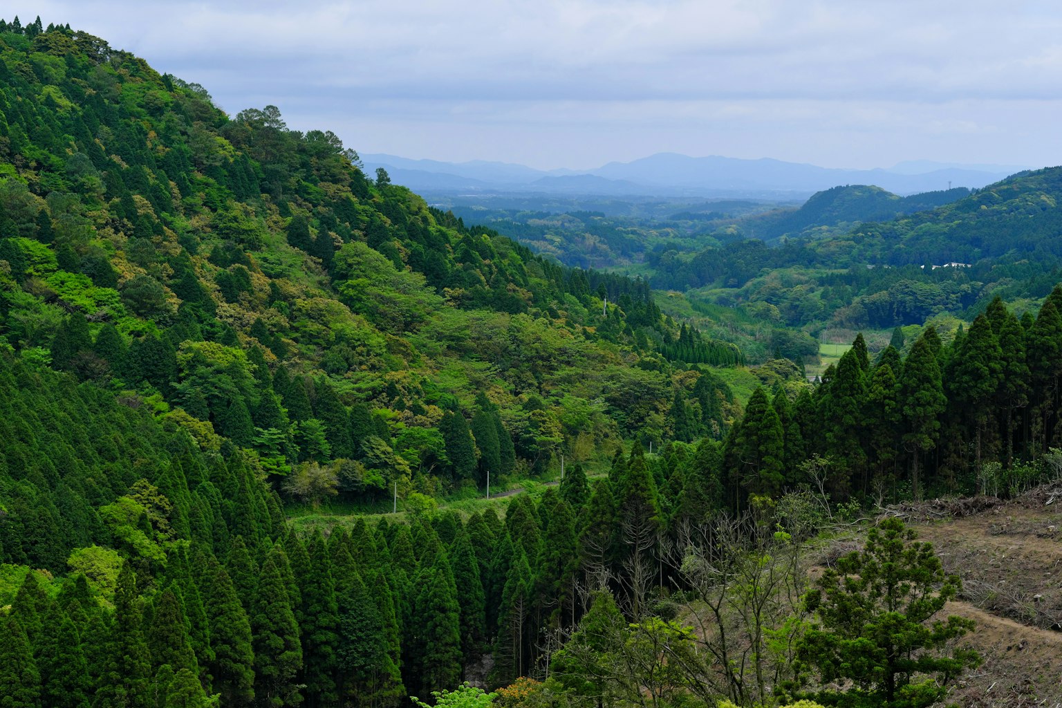 Lush green mountains and valleys landscape