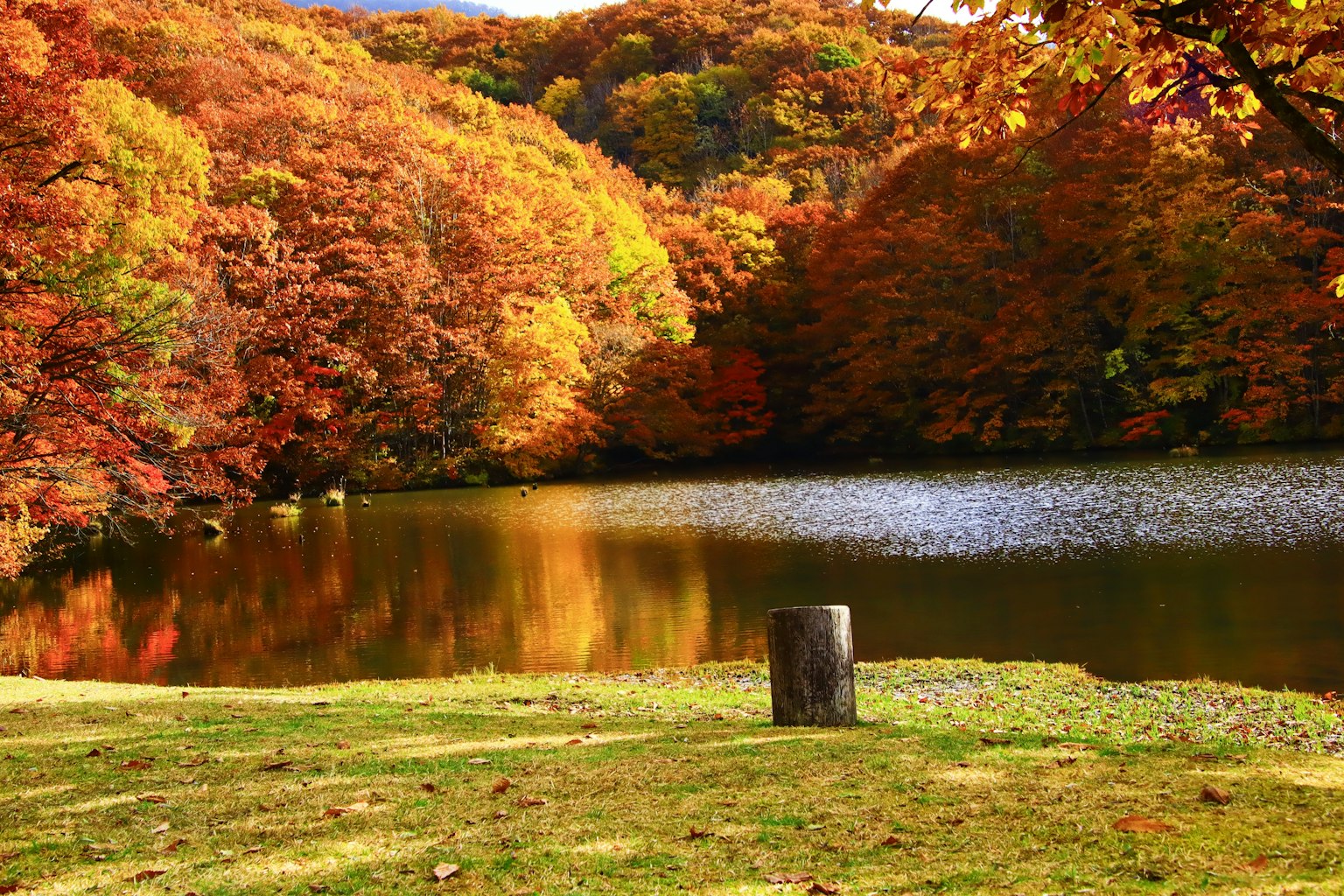 Scenic autumn landscape with colorful trees reflecting on the lake surface