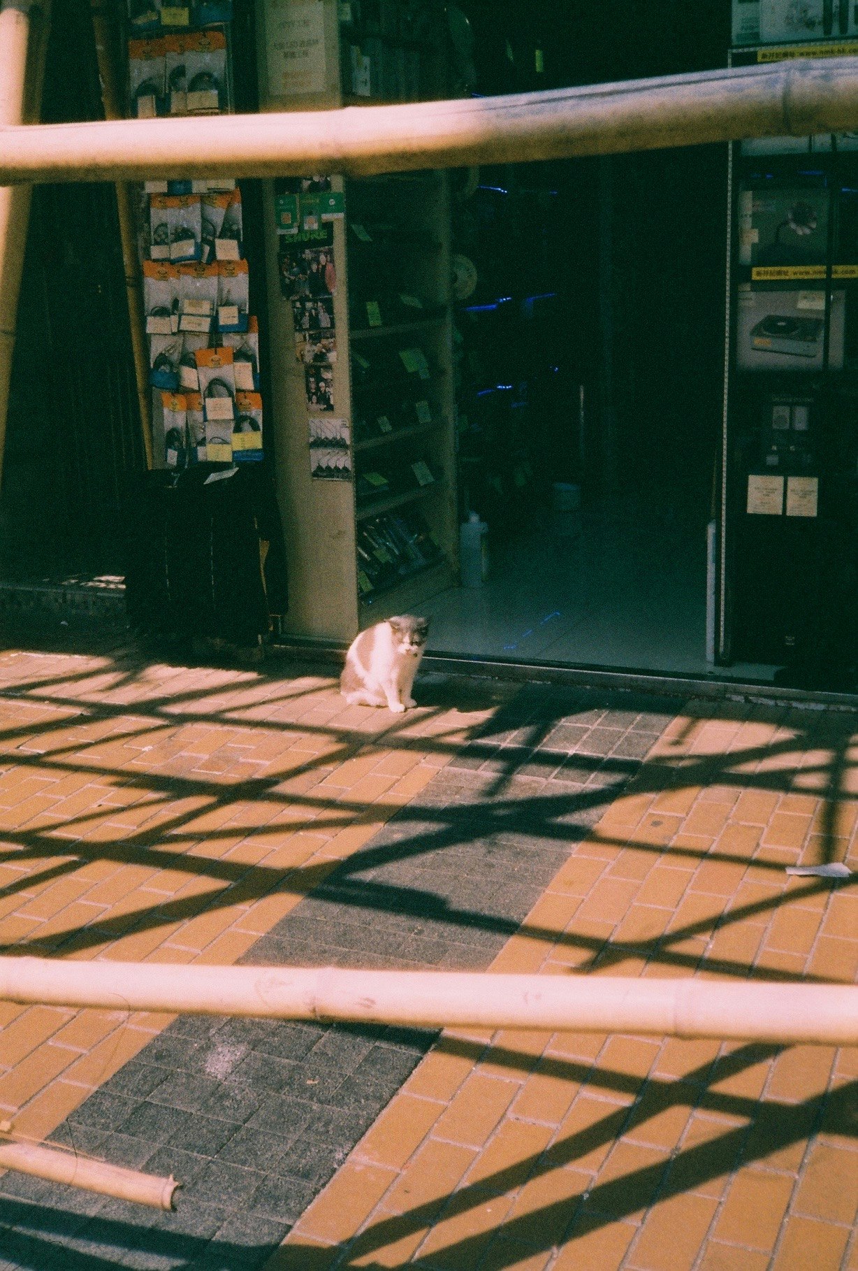 日差しの差し込む屋外のバス停ベンチと掲示板